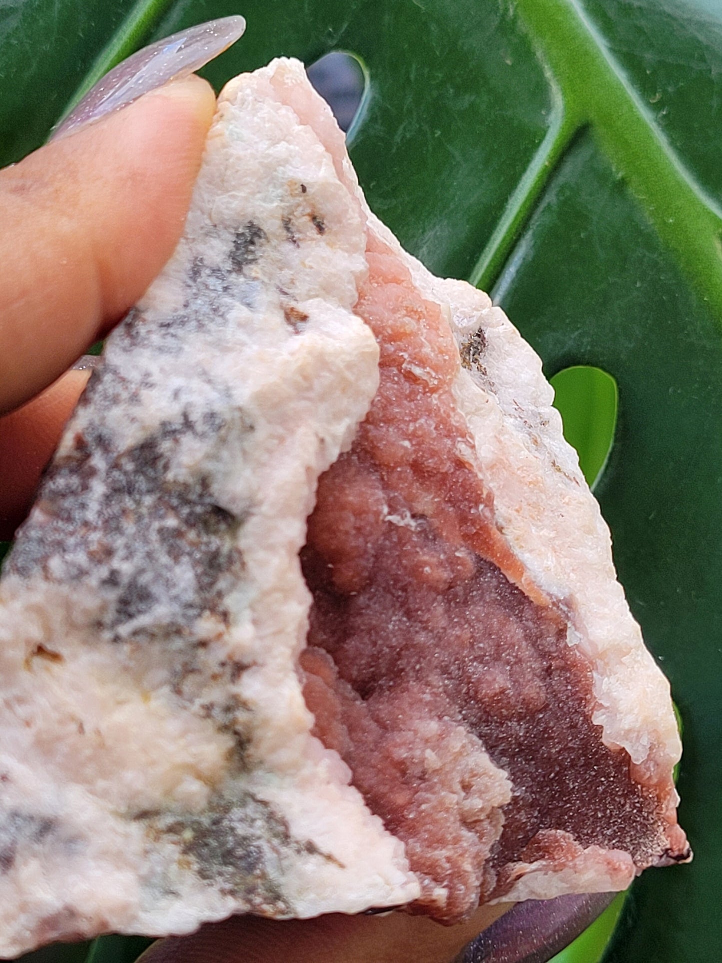 Pretty in Pink Starbloom Druze Cobalto Calcite on Matrix Specimen - Natural Gemstones - Home Decor - Gift - Crystal Collectors - Mexico