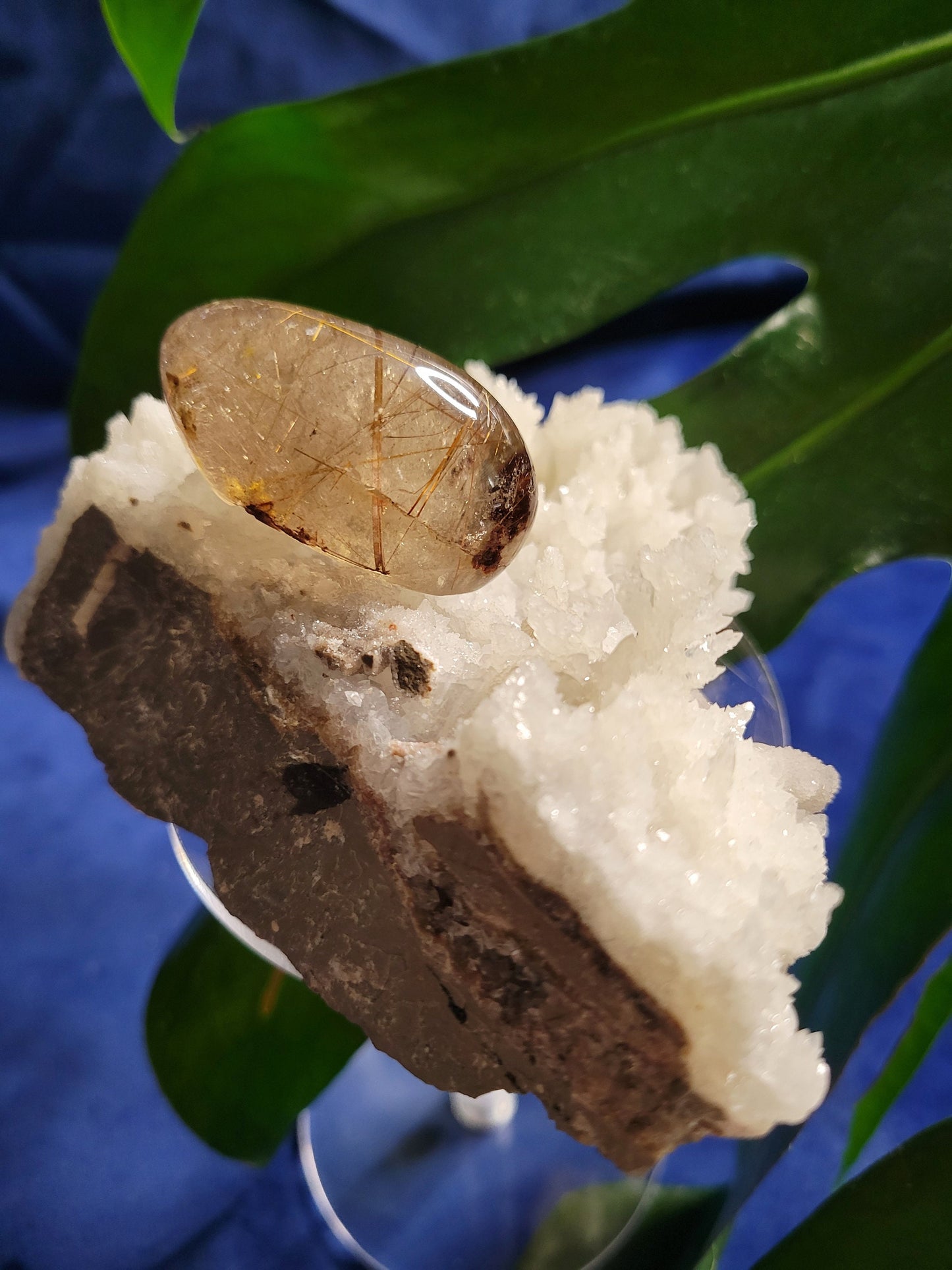 AAA Grade Stunning Angel Lens - Amphibole Quartz from Brazil - Gold Rutile Inclusions - Birthday, Anniversary Gift - Home Decor