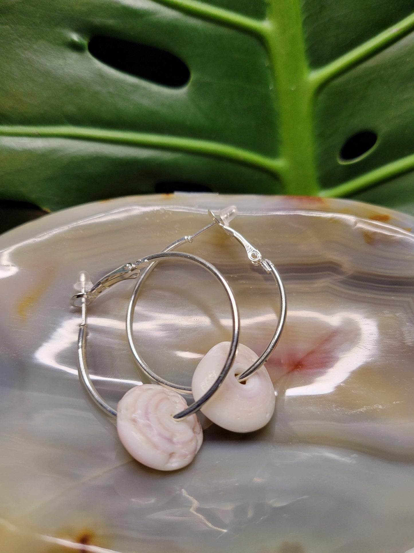 Beautiful Hawaiian Puka Shell Earrings - Nickel Free - Jewelry - Shells hand picked from a Beach in Hawaii - Birthday Anniversary Love Gift