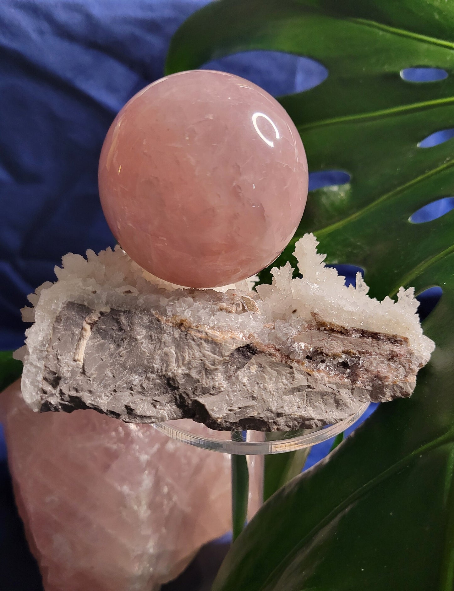 Star Rose Quartz Sphere | High Quality Crystal from Brazil | 55mm | Crystal Collector | Heart Chakra | Birthday or Valentines Day Love Gift