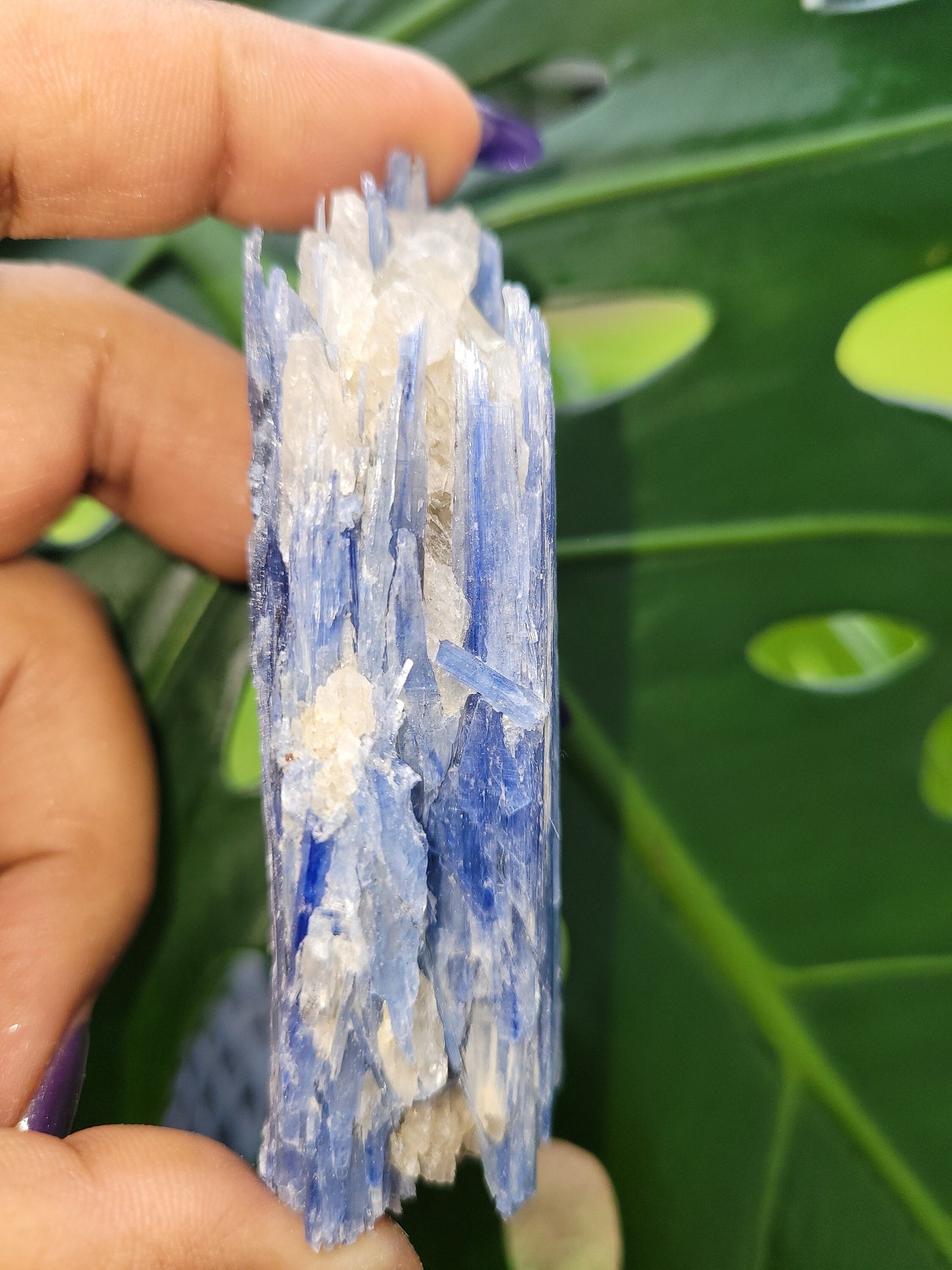 Kyanite & Quartz Crystal - Raw Natural Mineral Specimen - Home Decor - Crystal Collector - Gift