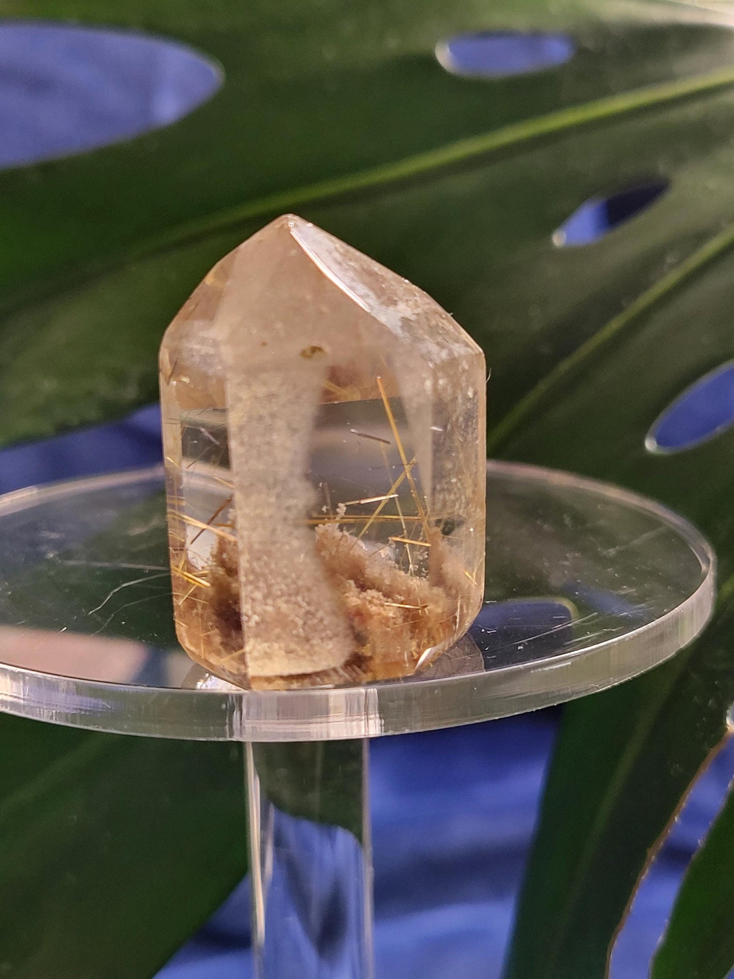 AAA Grade Stunning Rutilated Clear Quartz from Brazil | Lodolite & Gold Rutile Inclusions | Collectors Piece | Gift Ideas | All Chakras