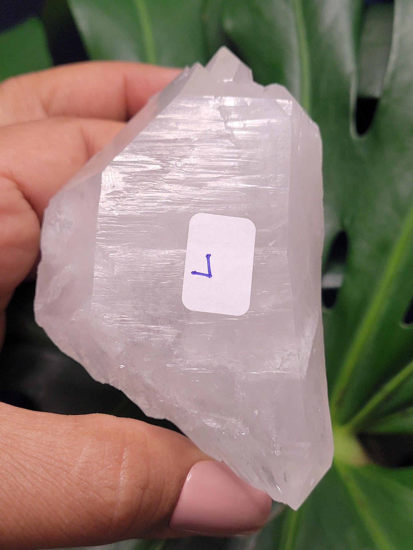 Stunning Lemurian Clear Quartz Crystal Point-Crystal Collectors-Birthday Anniversary Christmas Gift-Home Decor-Gift Ideas-High Quality