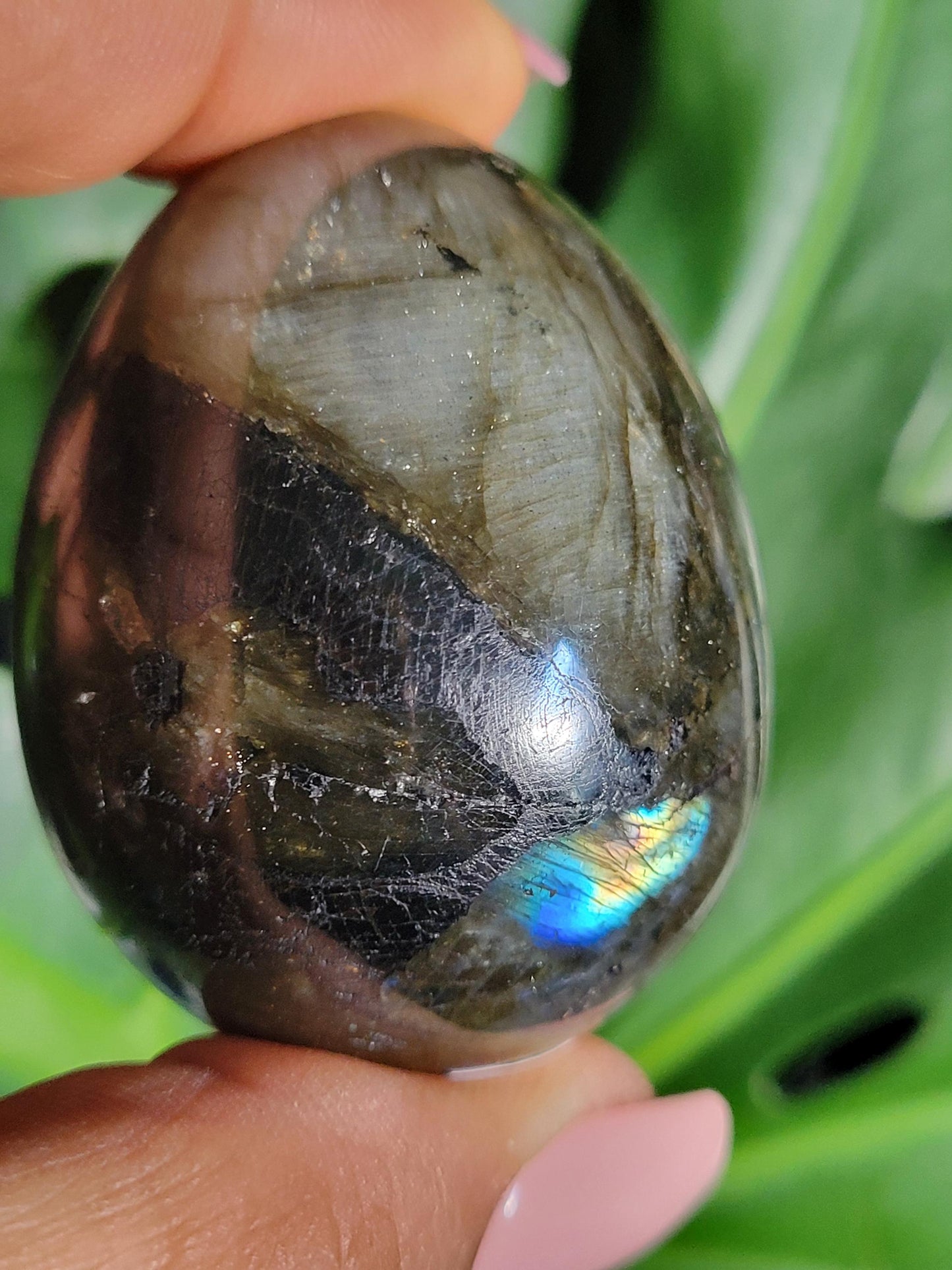 Flashy Labradorite Egg with Black Tourmaline from Madagascar-Birthday Anniversary Christmas Gift Ideas-Crystal Love Healing Energy
