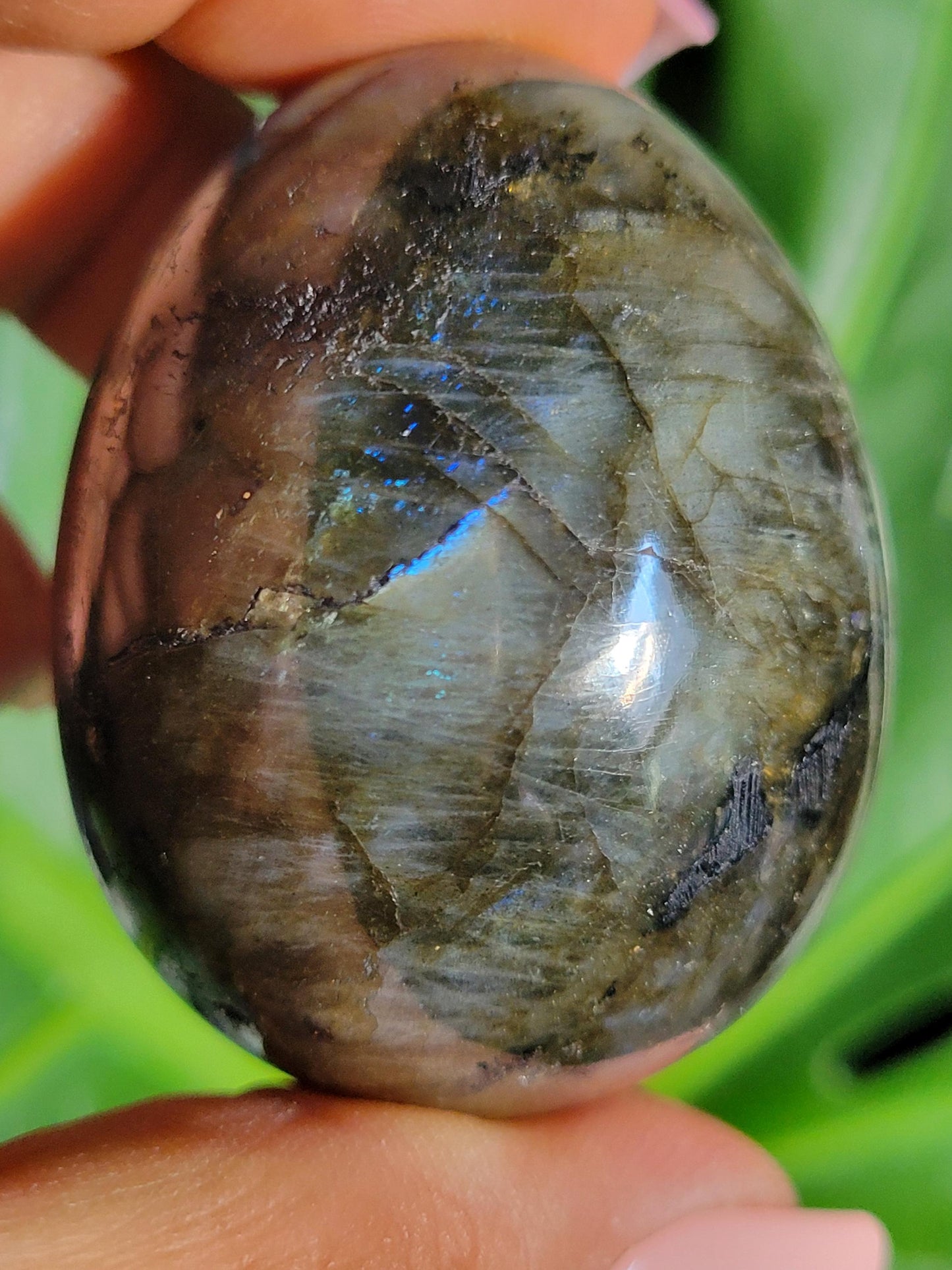 Flashy Labradorite Egg with Black Tourmaline from Madagascar-Birthday Anniversary Christmas Gift Ideas-Crystal Love Healing Energy