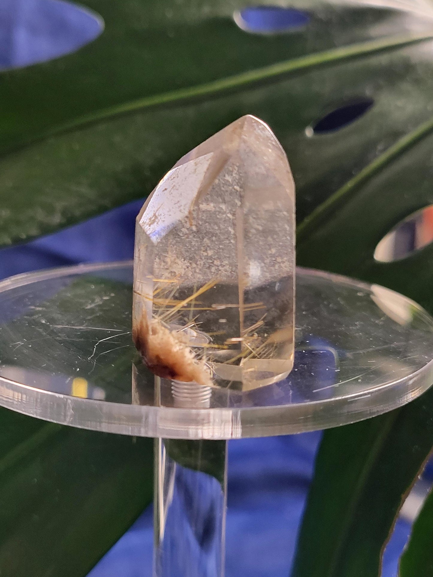 AAA Grade Stunning Rutilated Clear Quartz from Brazil | Lodolite & Gold Rutile Inclusions | Collectors Piece | Gift Ideas | All Chakras