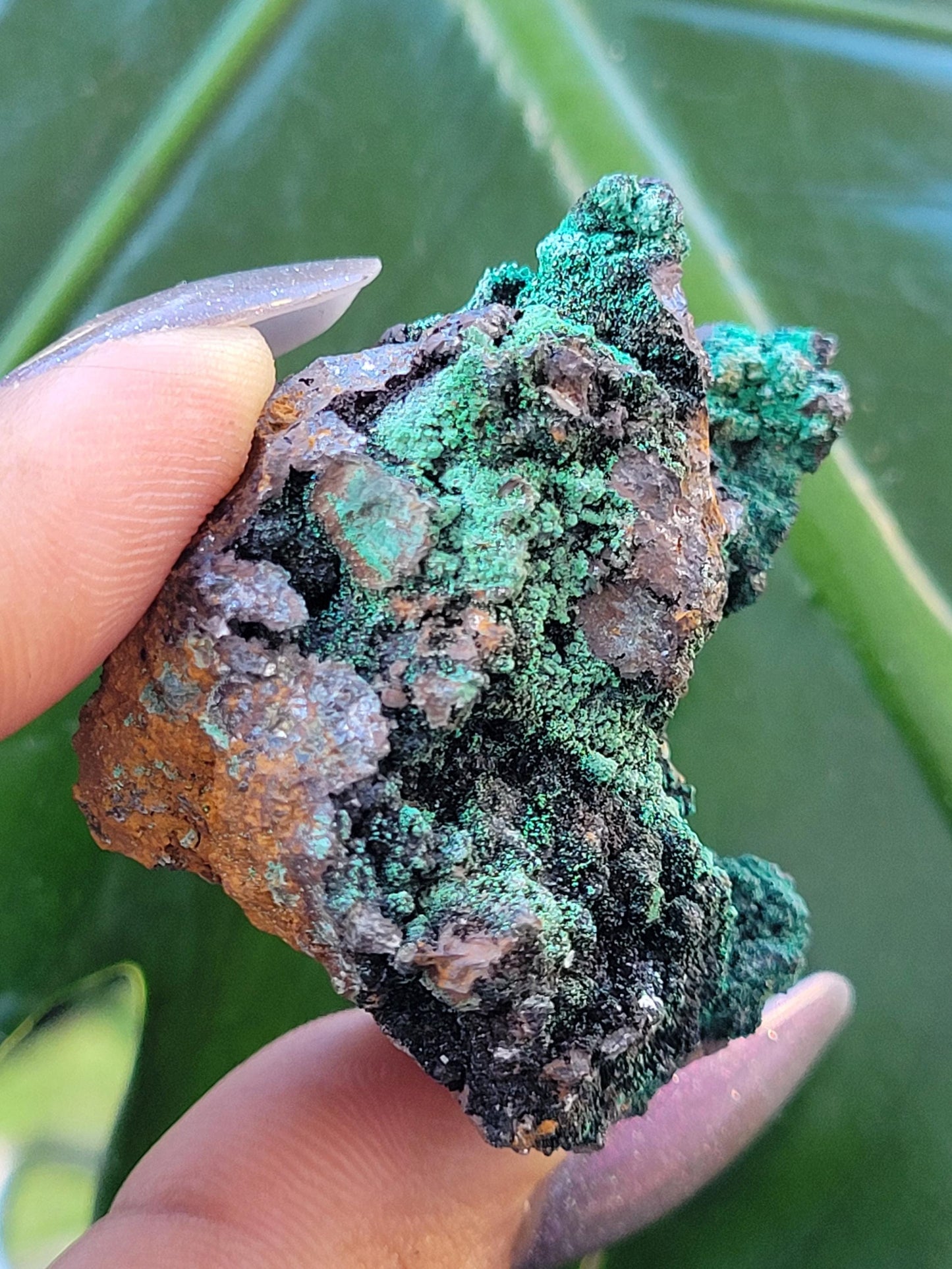 Malachite, Heterogenite and Galena Specimen in Display Case | Crystal Collector | Birthday Christmas Gift Ideas | Green Black Silver | 84g
