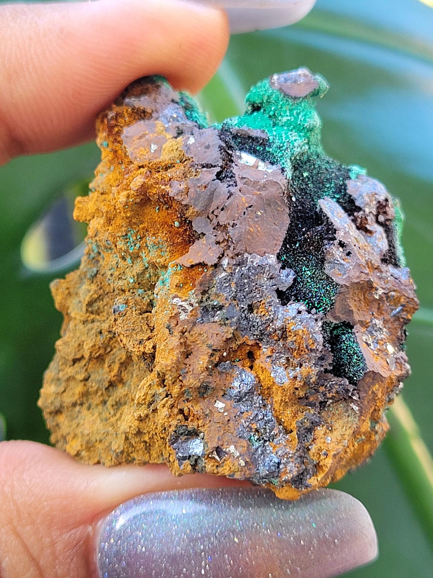 Malachite, Heterogenite and Galena Specimen in Display Case | Crystal Collector | Birthday Christmas Gift Ideas | Green Black Silver | 84g