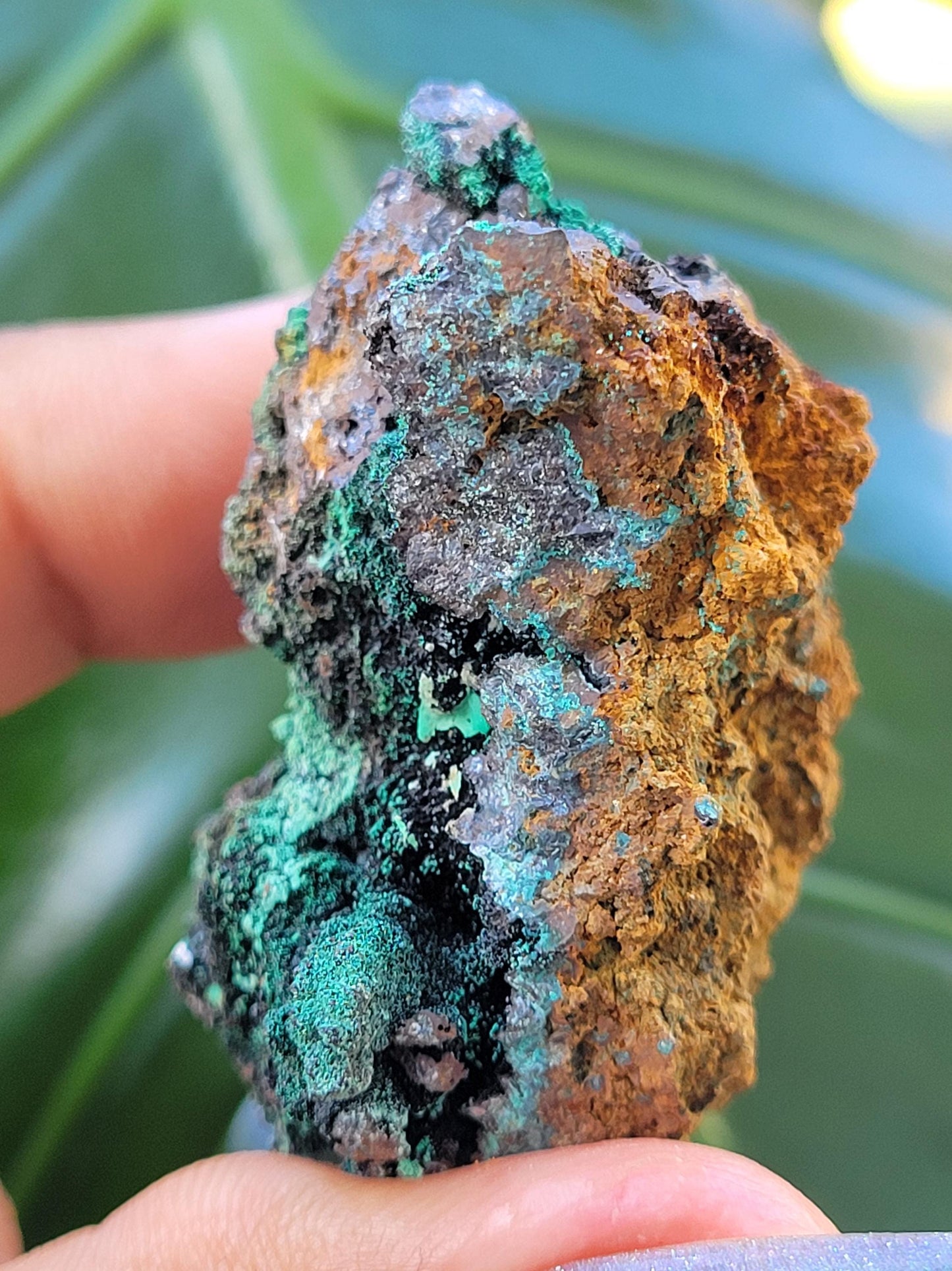 Malachite, Heterogenite and Galena Specimen in Display Case | Crystal Collector | Birthday Christmas Gift Ideas | Green Black Silver | 84g