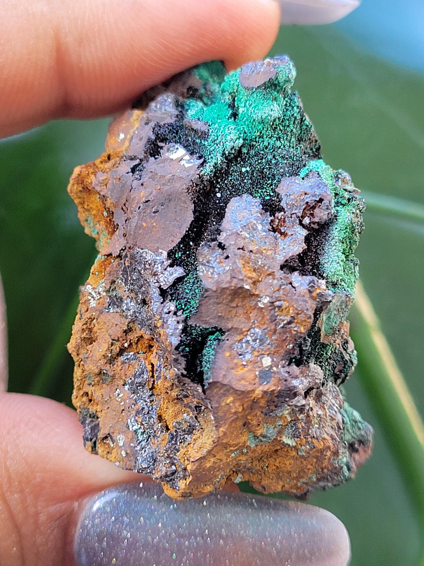 Malachite, Heterogenite and Galena Specimen in Display Case | Crystal Collector | Birthday Christmas Gift Ideas | Green Black Silver | 84g