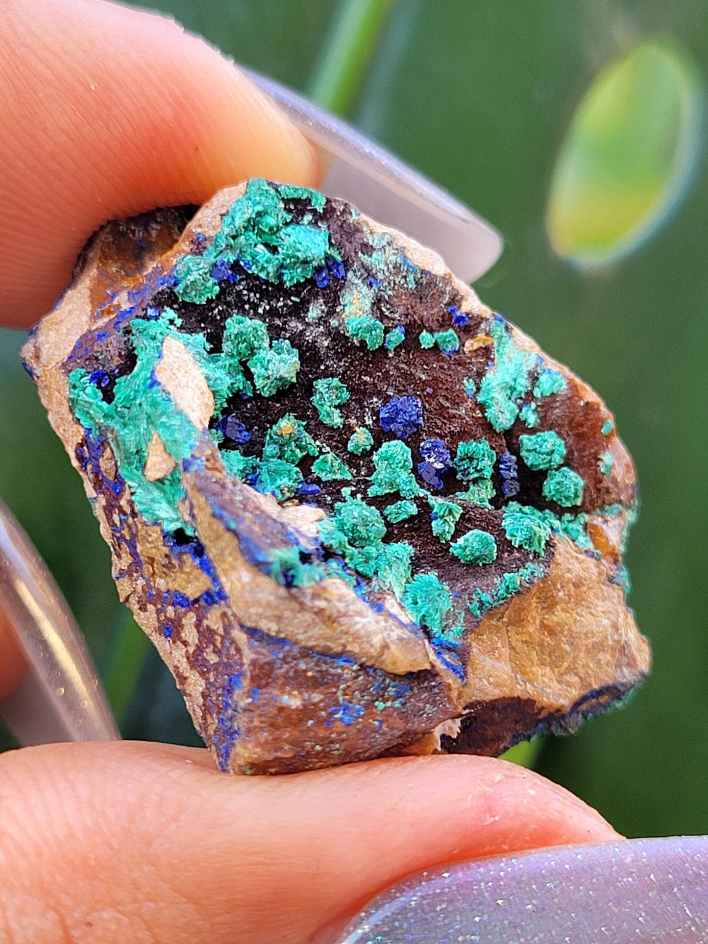 Fibrous Malachite and Azurite Specimen in Display Case-Collector Birthday Christmas Gift Ideas-Strength and Abundance Energy-Green-31g
