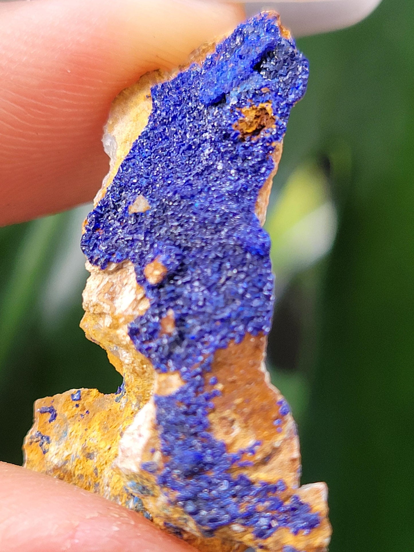 Malachite and Azurite Specimen in Display Case-Collector Birthday Christmas Gift Ideas-Strength and Abundance Energy-Green-30g