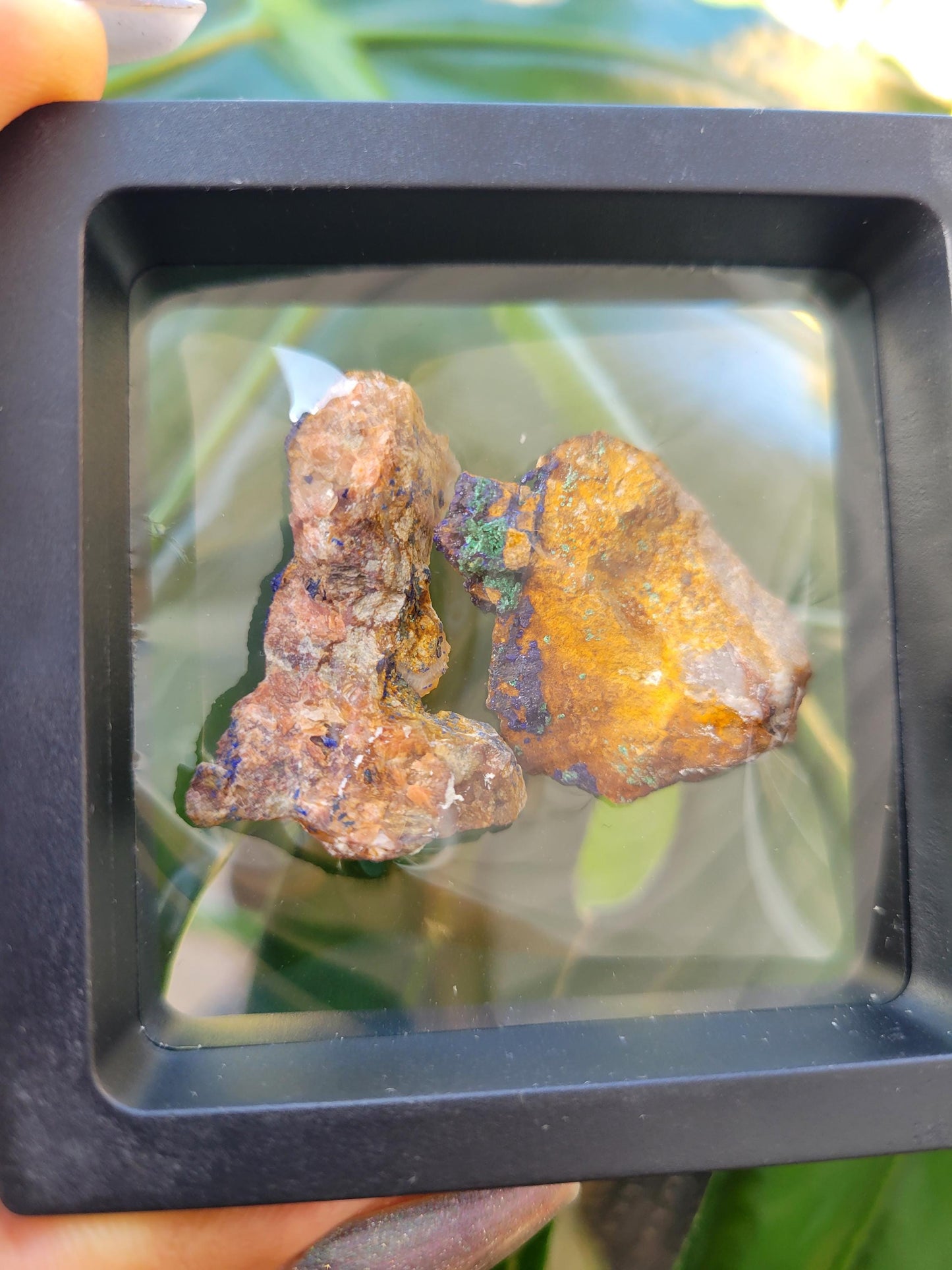 Malachite and Azurite Specimen in Display Case-Collector Birthday Christmas Gift Ideas-Strength and Abundance Energy-Green-30g