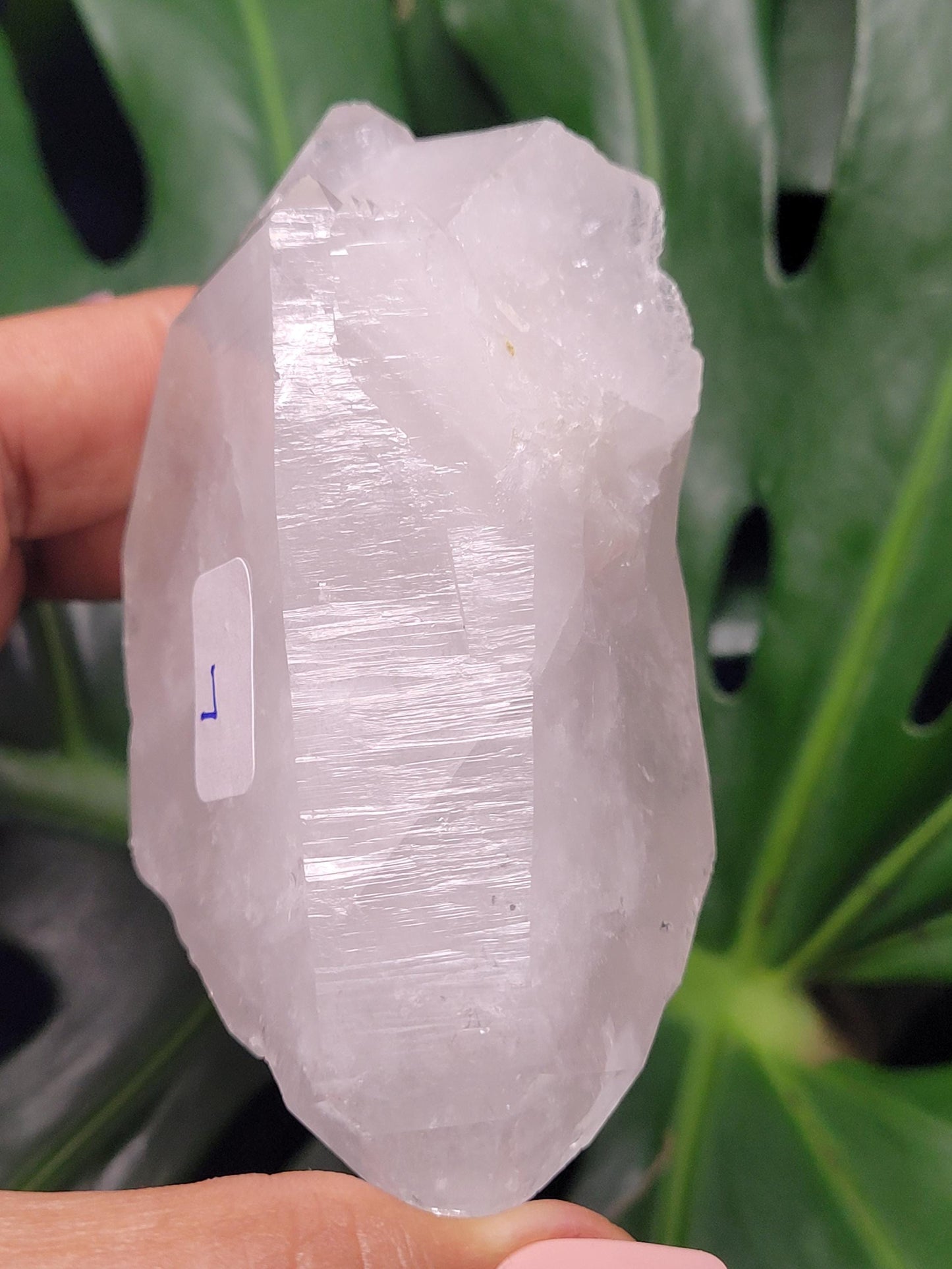 Stunning Lemurian Clear Quartz Crystal Point-Crystal Collectors-Birthday Anniversary Christmas Gift-Home Decor-Gift Ideas-High Quality
