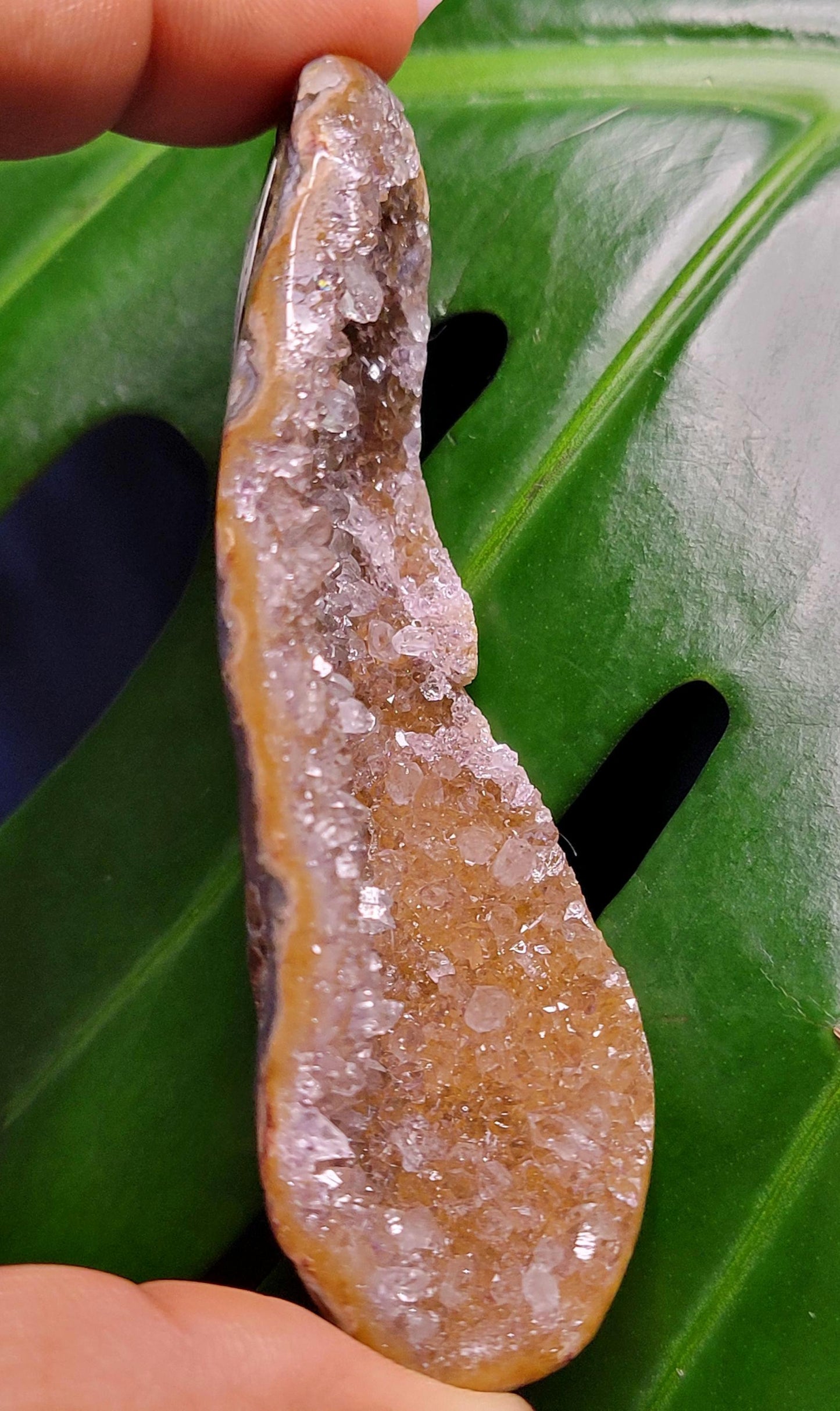 High Quality Galaxy Amethyst Shell with polished back from Uruguay - Home Decor - Crystal Collector - Gift Ideas - Gold - 55g