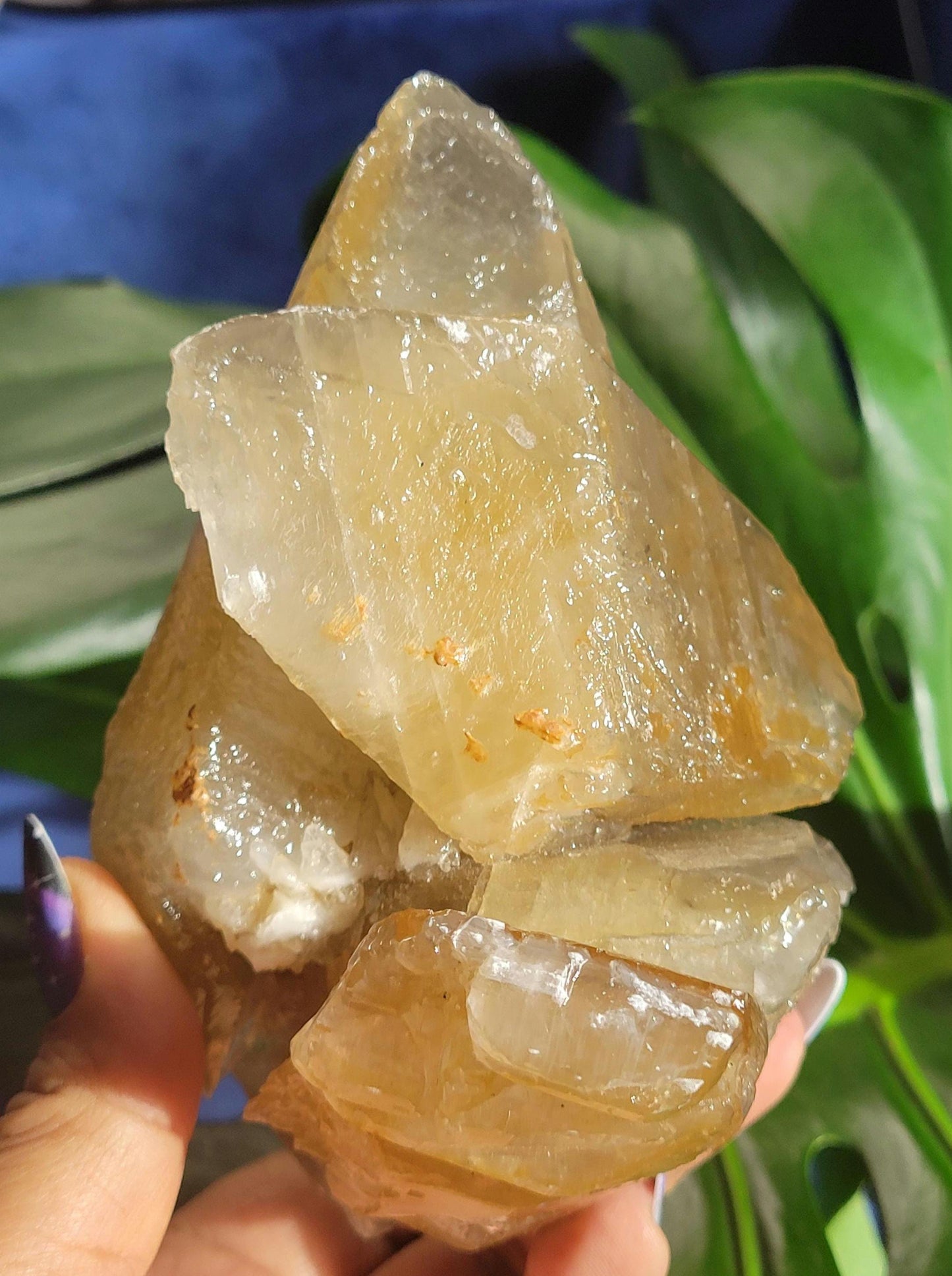Dogtooth Calcite | Stunning Raw Specimen | Crystal Collectors | Home Decor | Gift | Gold & Gray | Solar Plexus Chakra | 737g / 1.6lbs