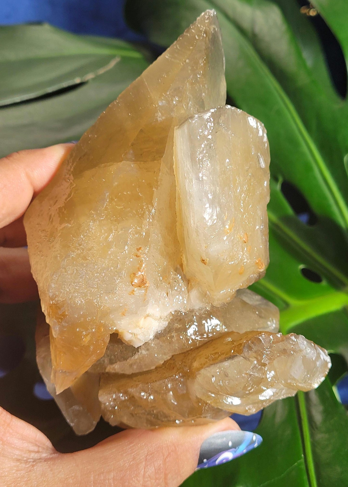 Dogtooth Calcite | Stunning Raw Specimen | Crystal Collectors | Home Decor | Gift | Gold & Gray | Solar Plexus Chakra | 737g / 1.6lbs