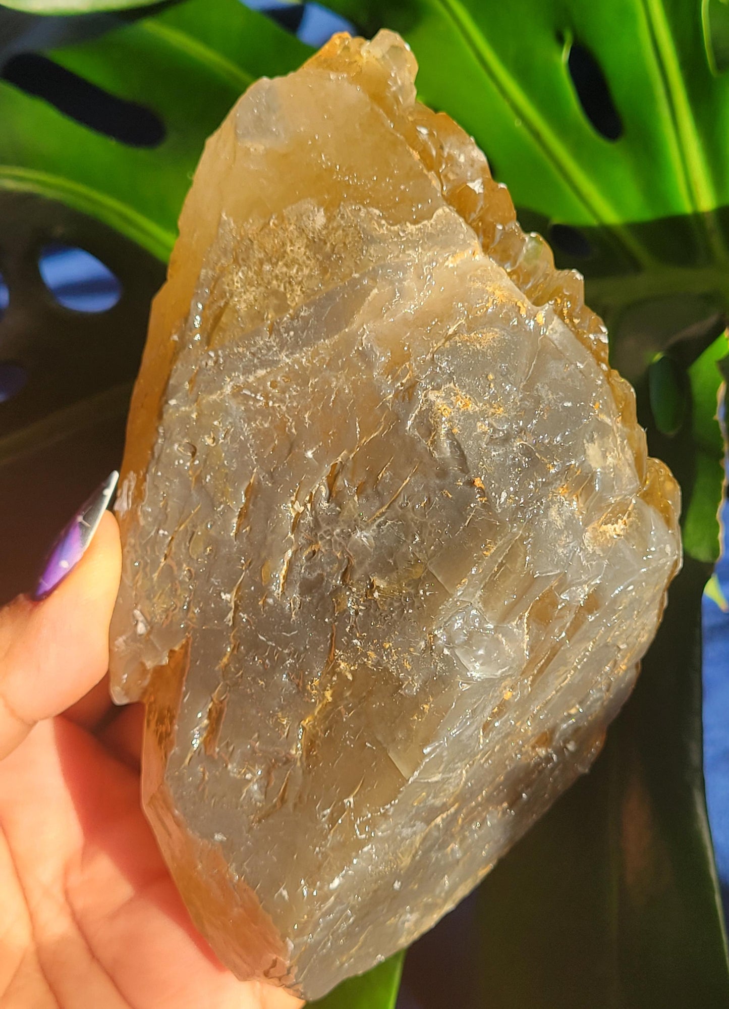 Dogtooth Calcite | Stunning Raw Specimen | Crystal Collectors | Home Decor | Gift | Golden & Gray | 743g / 1.7lbs | Solar Plexus Chakra