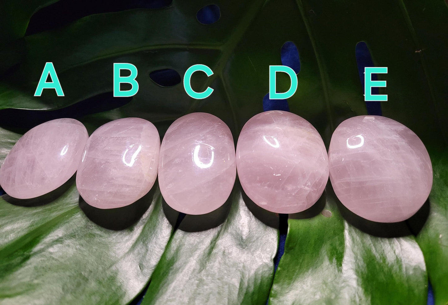 Rose Quartz Palmstones from Brazil | Crystal Collector | Meditation Tool | Heart Chakra | Birthday or Valentines Day Love Gift | Pastel Pink