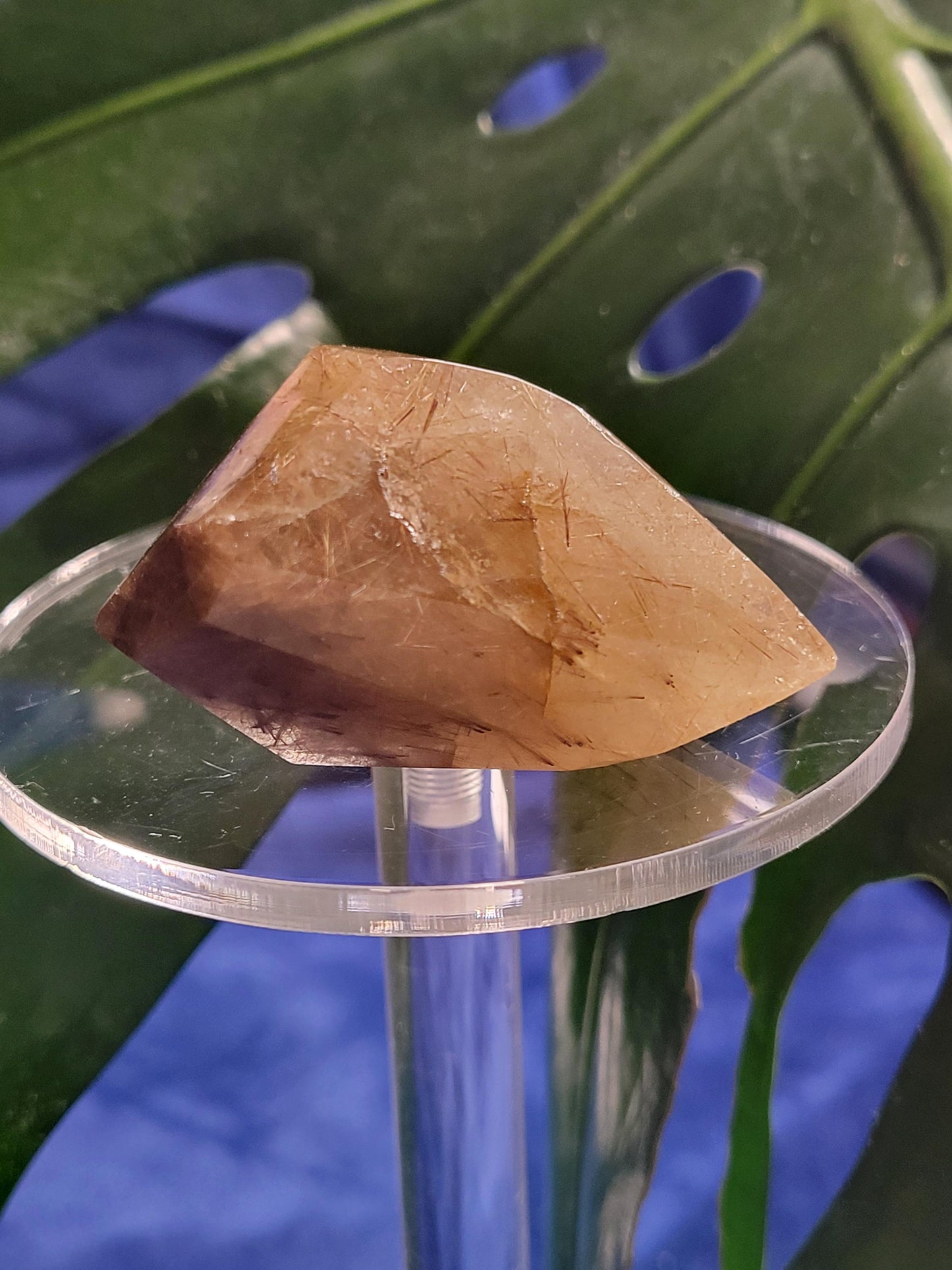 AAA Grade Stunning Rutilated Quartz Freeform Crystal from Brazil - Collectors Piece - Gold Rutile - Home Decor - Gift - 40 grams