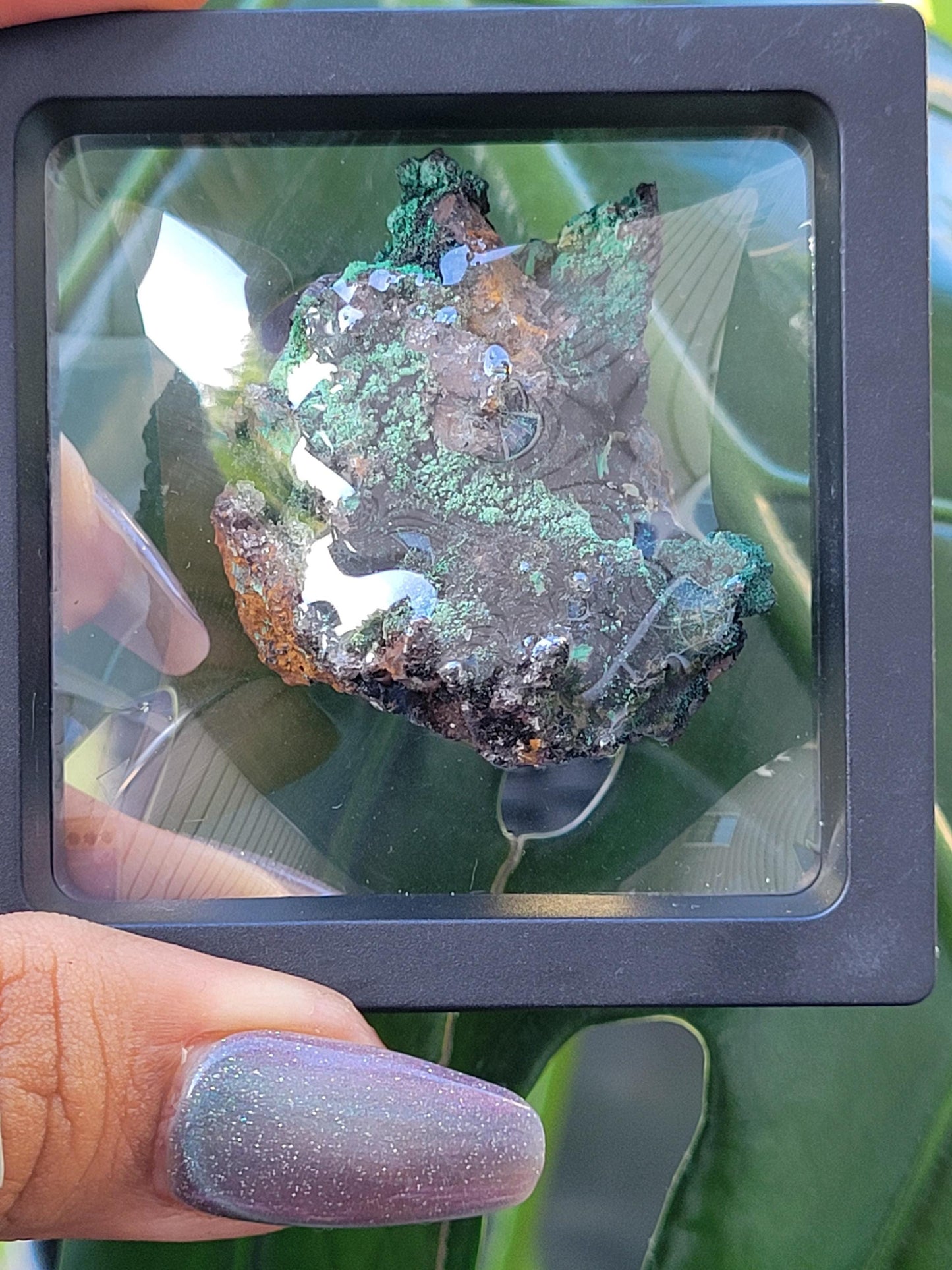 Malachite, Heterogenite and Galena Specimen in Display Case | Crystal Collector | Birthday Christmas Gift Ideas | Green Black Silver | 84g