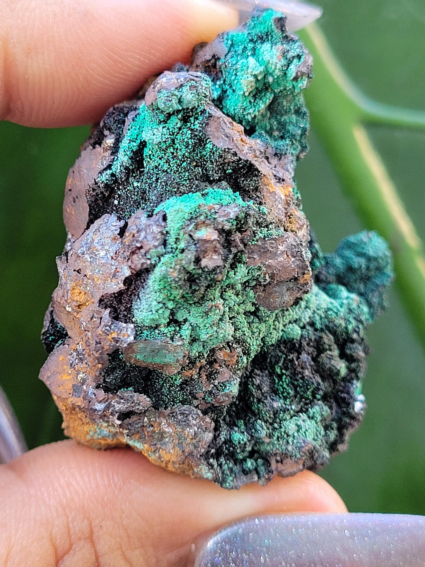 Malachite, Heterogenite and Galena Specimen in Display Case | Crystal Collector | Birthday Christmas Gift Ideas | Green Black Silver | 84g