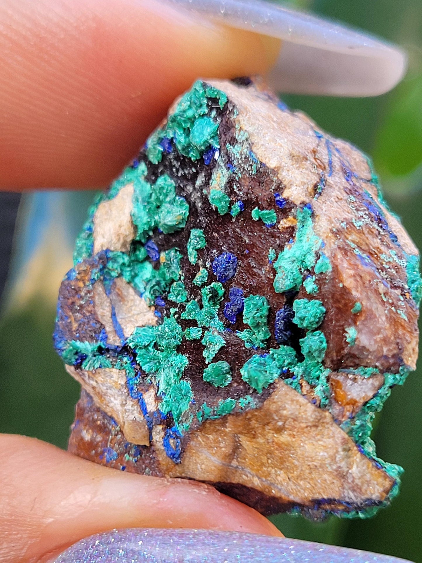 Fibrous Malachite and Azurite Specimen in Display Case-Collector Birthday Christmas Gift Ideas-Strength and Abundance Energy-Green-31g