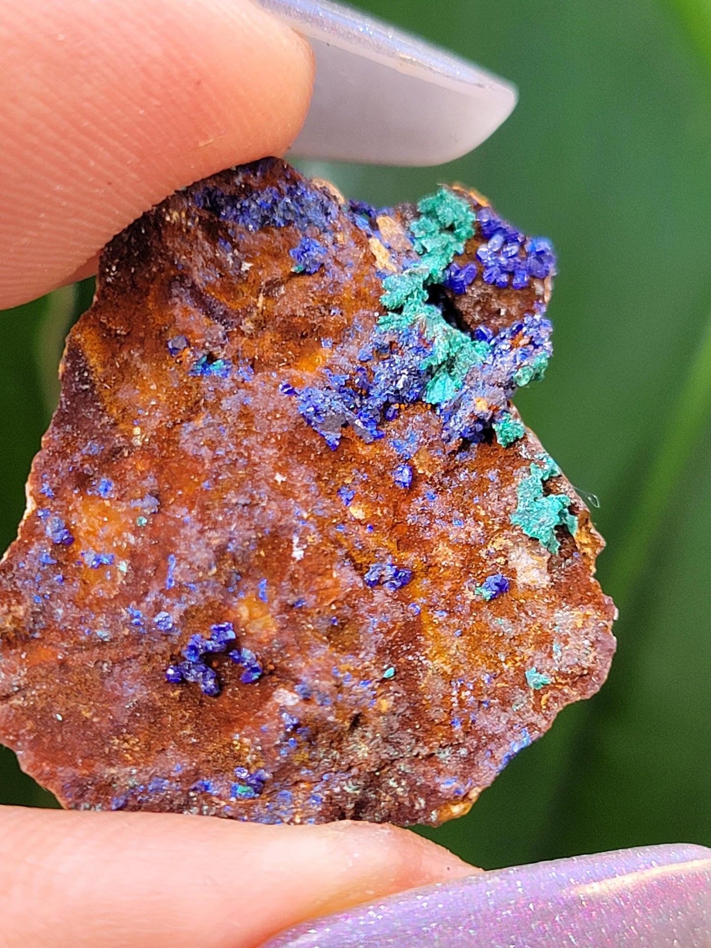 Malachite and Azurite Specimen in Display Case-Collector Birthday Christmas Gift Ideas-Strength and Abundance Energy-Green-30g