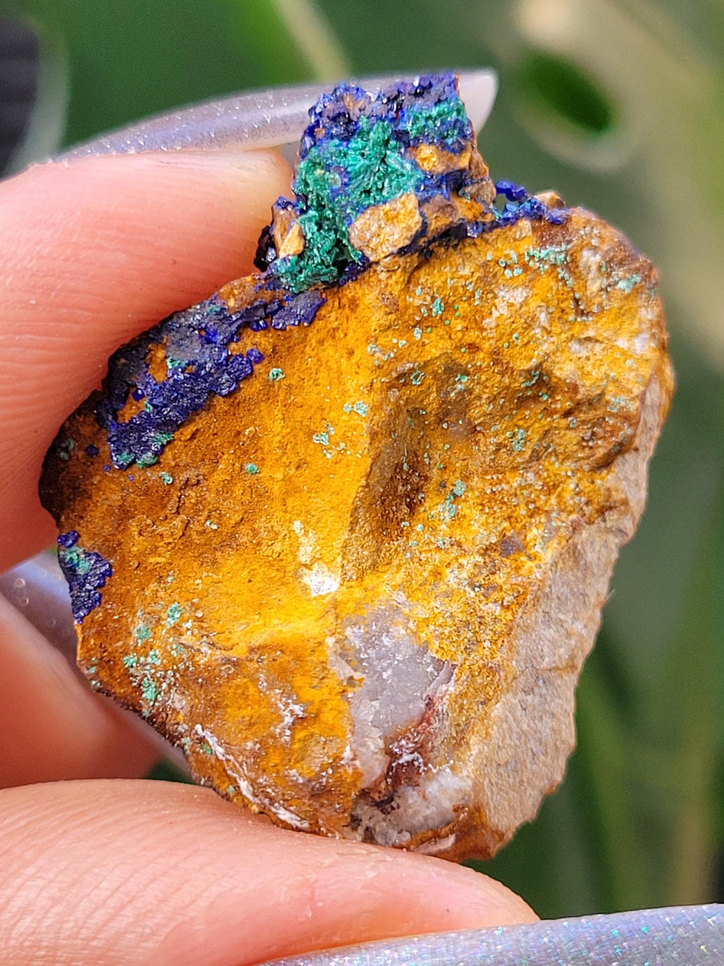 Malachite and Azurite Specimen in Display Case-Collector Birthday Christmas Gift Ideas-Strength and Abundance Energy-Green-30g