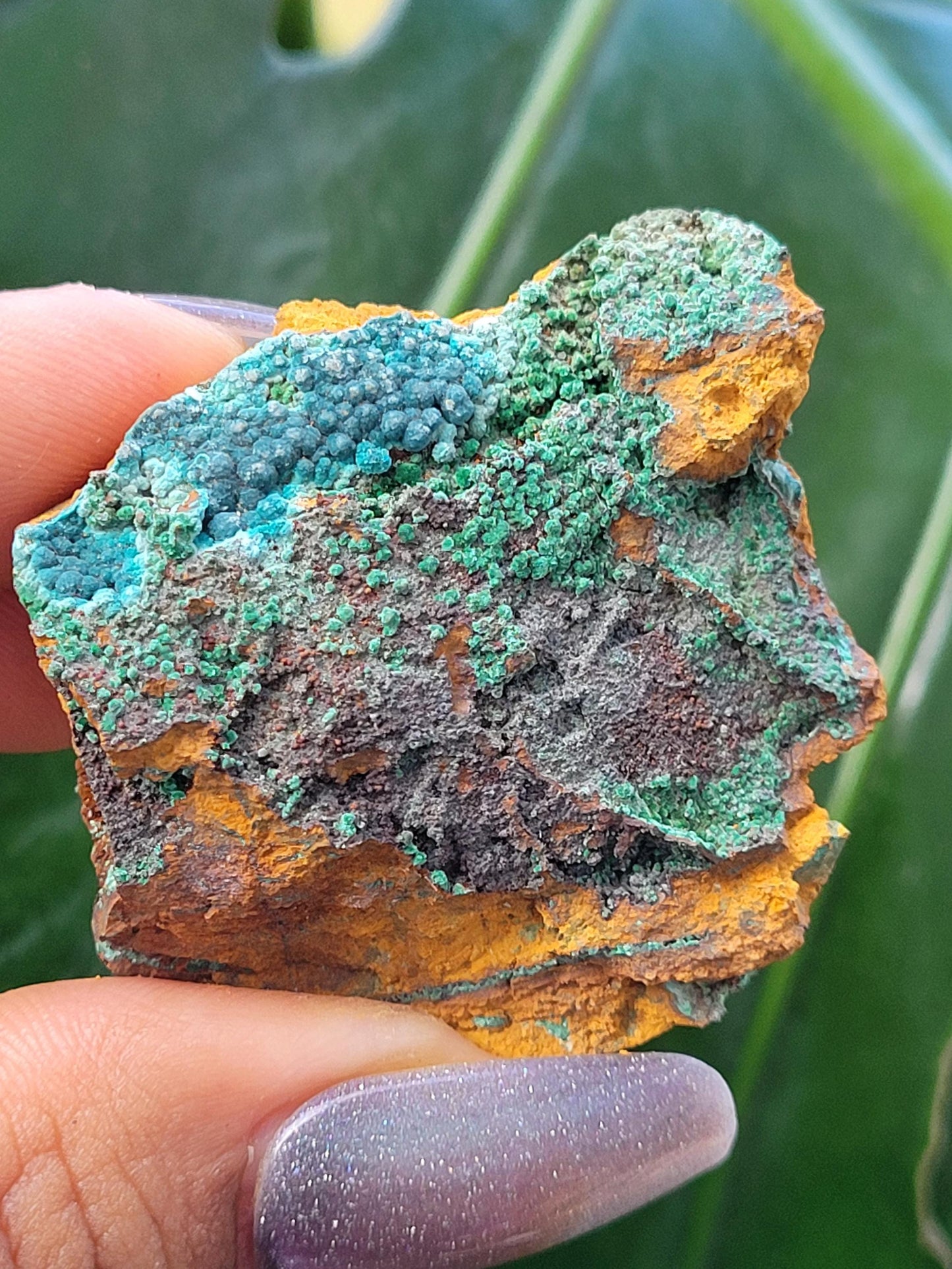 Botryoidal Malachite & Chrysocolla Raw Crystal Specimen in Display Case | Crystal Collector | Home Decor | Blue and Green | 60g