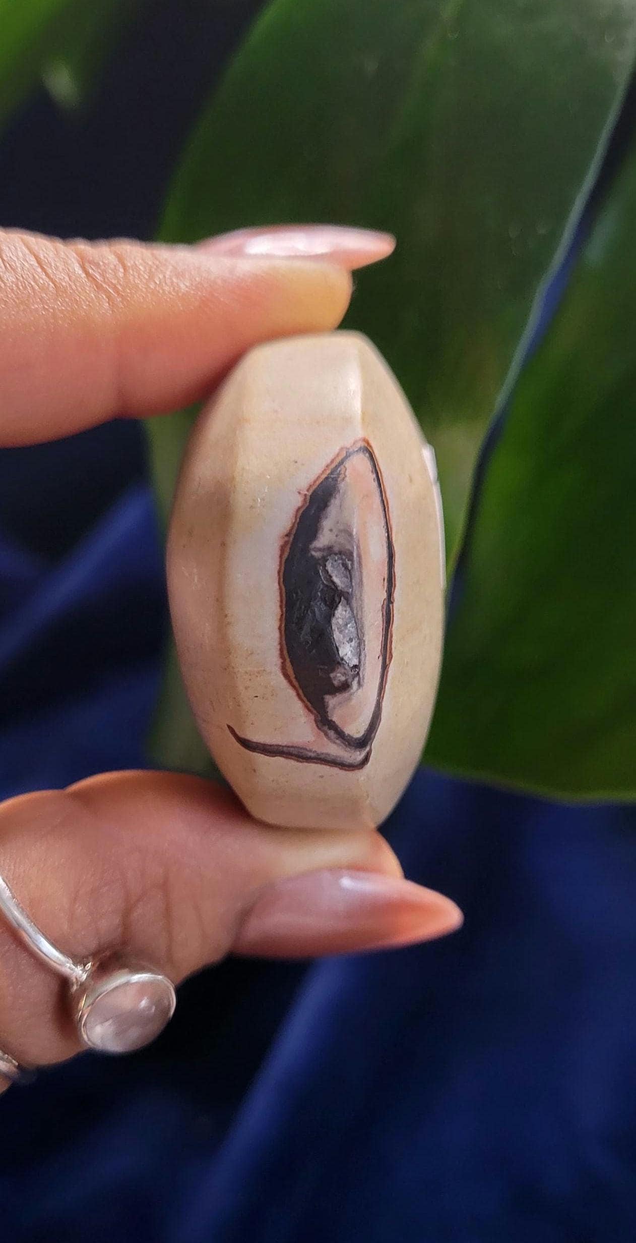 Picture Jasper Palm stone | Natural Landscapes of Art |Meditation Tool |Crystal Collector | Home Decor | Birthday Christmas Love Gift Ideas