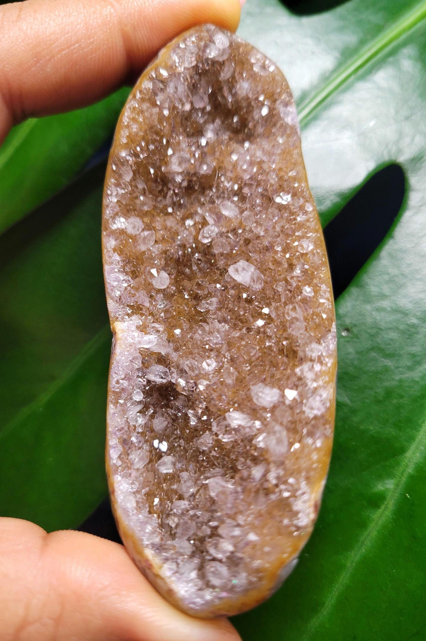 High Quality Galaxy Amethyst Shell with polished back from Uruguay - Home Decor - Crystal Collector - Gift Ideas - Gold - 55g
