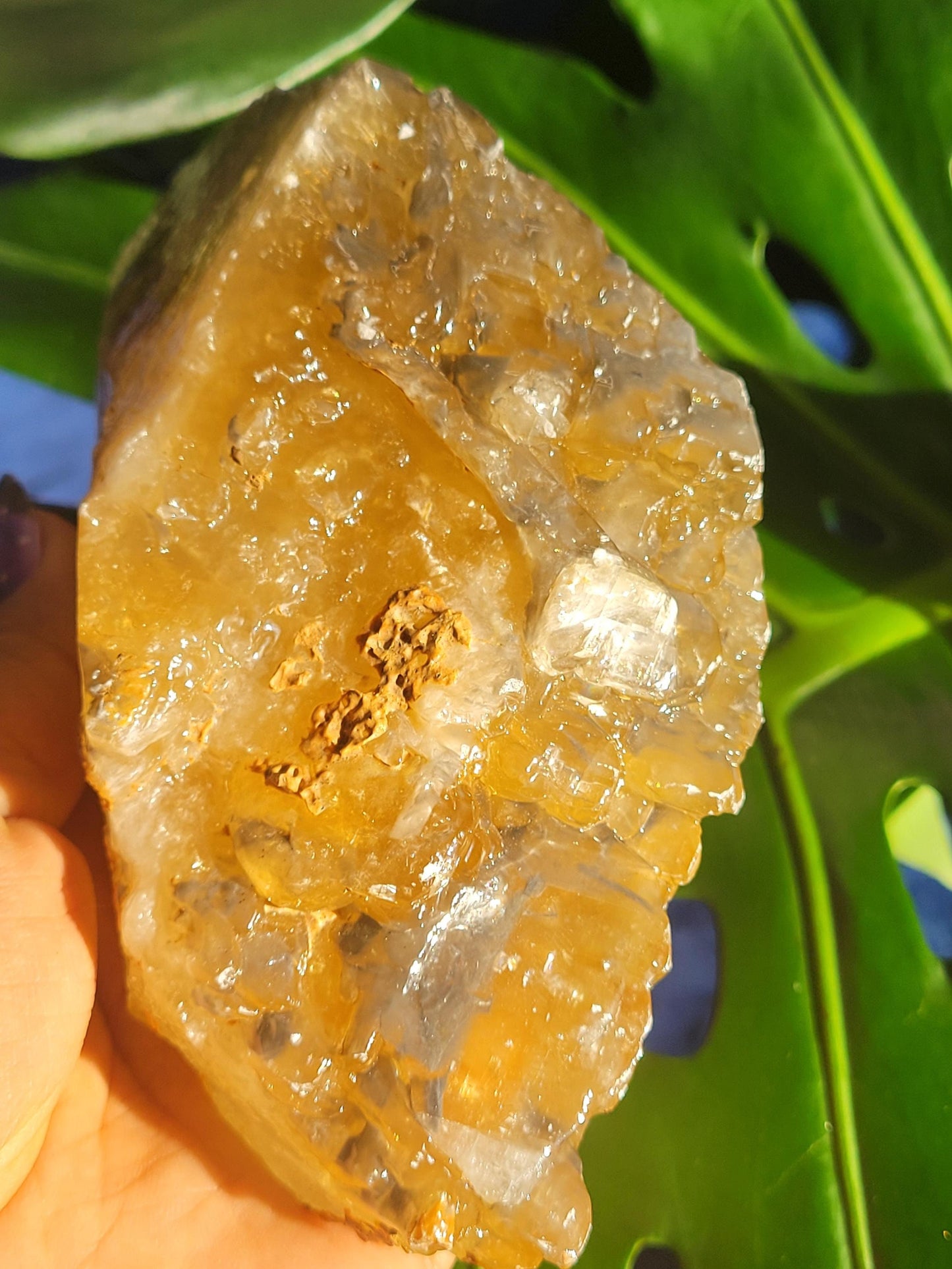Dogtooth Calcite | Stunning Raw Specimen | Crystal Collectors | Home Decor | Gift | Golden & Gray | 743g / 1.7lbs | Solar Plexus Chakra