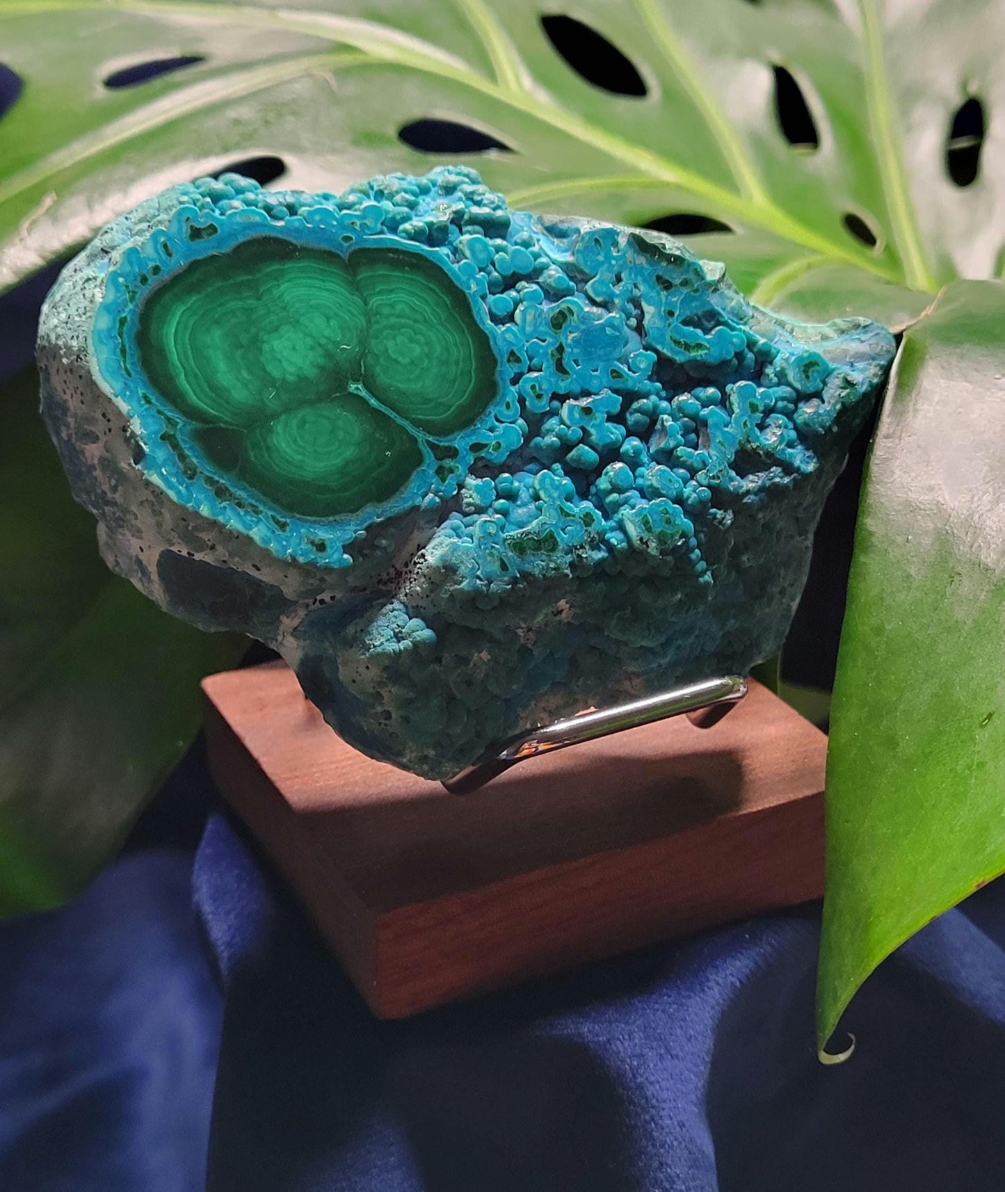 Malachite and Chrysocolla Specimen| Crystal Collector Piece|Birthday Christmas Gift Ideas|Strength and Abundance Energy|Green and Blue| 392g