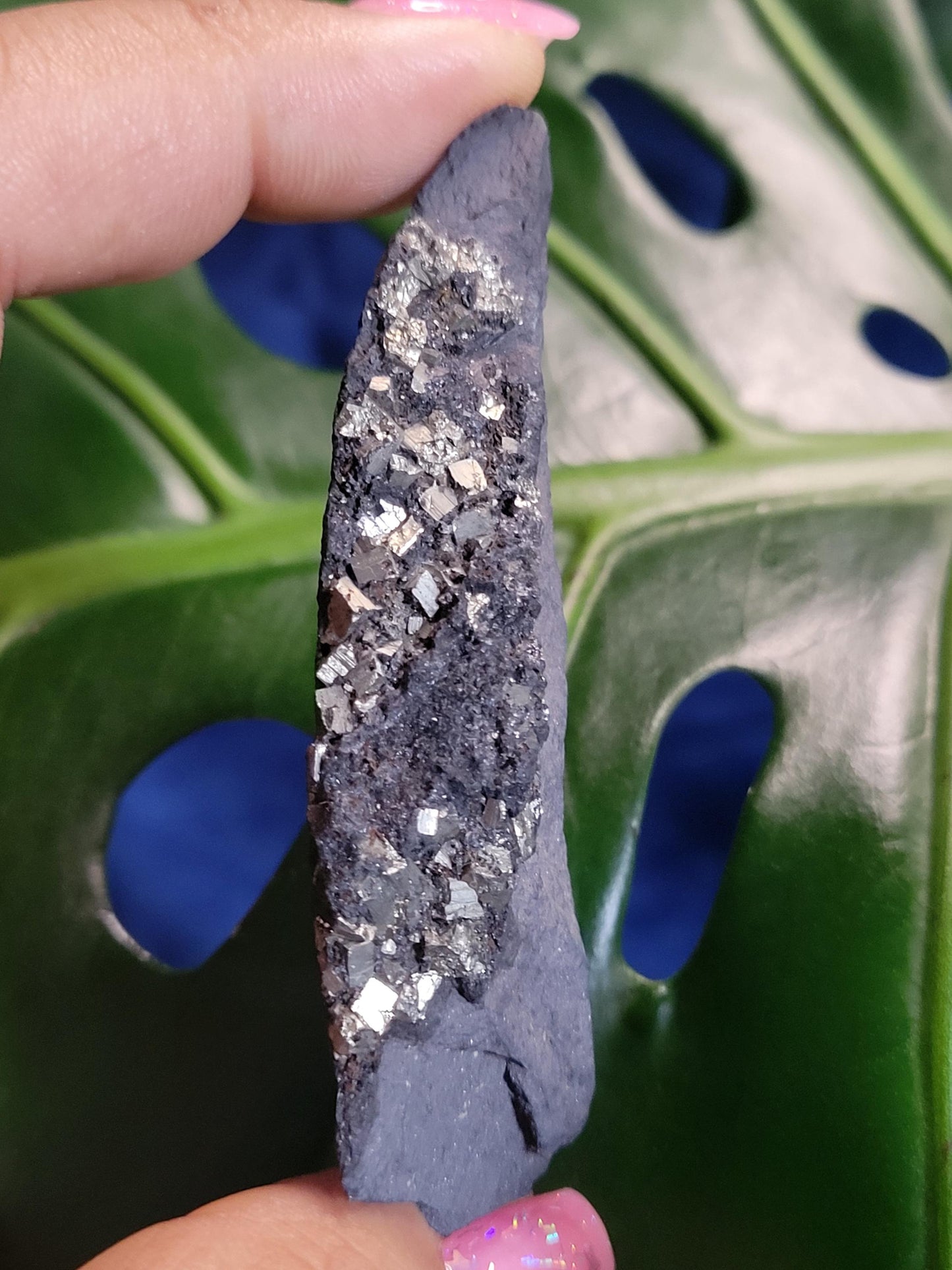 Raw Shungite with Pyrite from Russia|Your Pick|Crystal Collector|The Miracle Stone|Black and Gold|Gift ideas