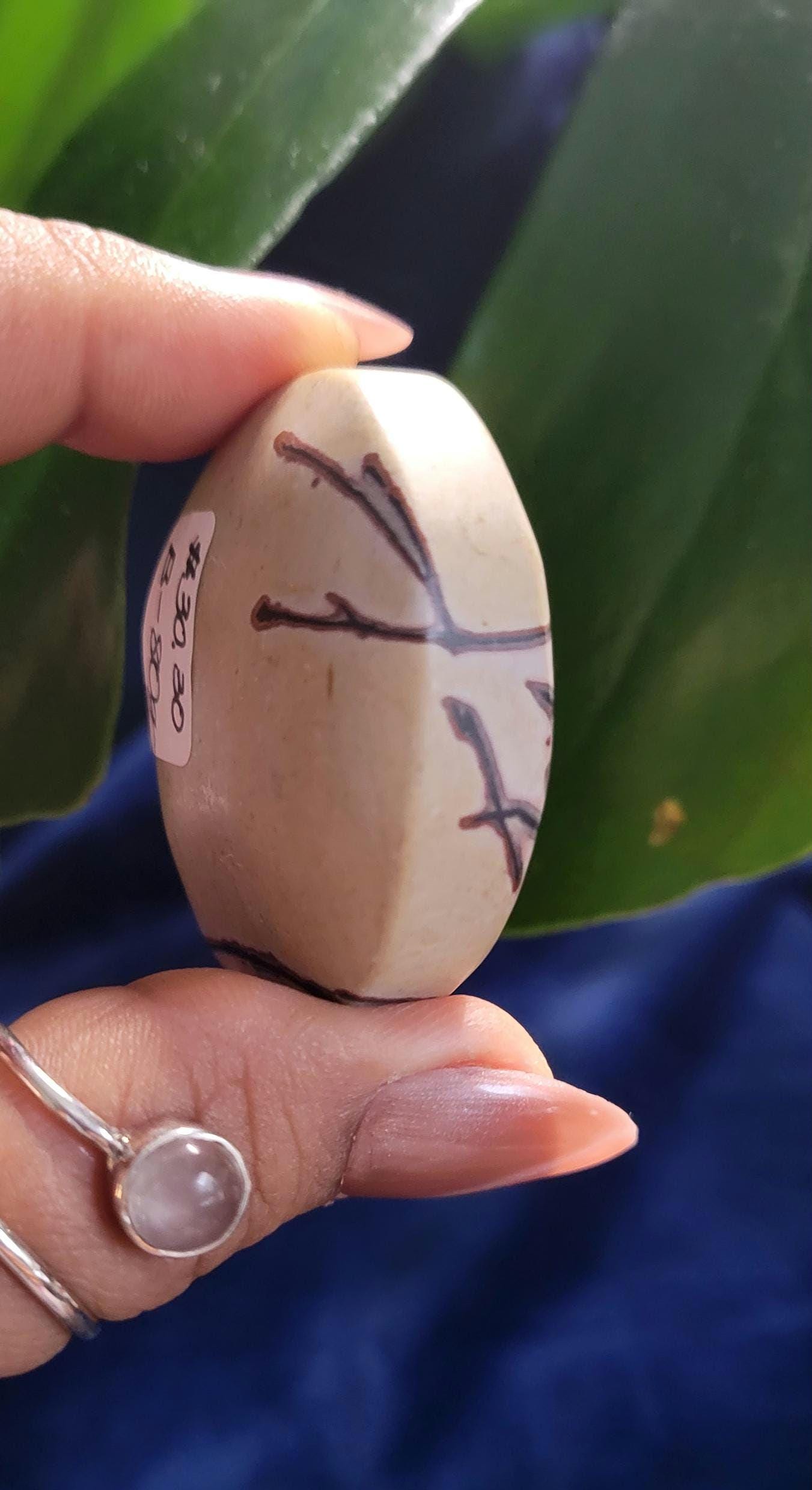 Picture Jasper Palm stone | Natural Landscapes of Art |Meditation Tool |Crystal Collector | Home Decor | Birthday Christmas Love Gift Ideas