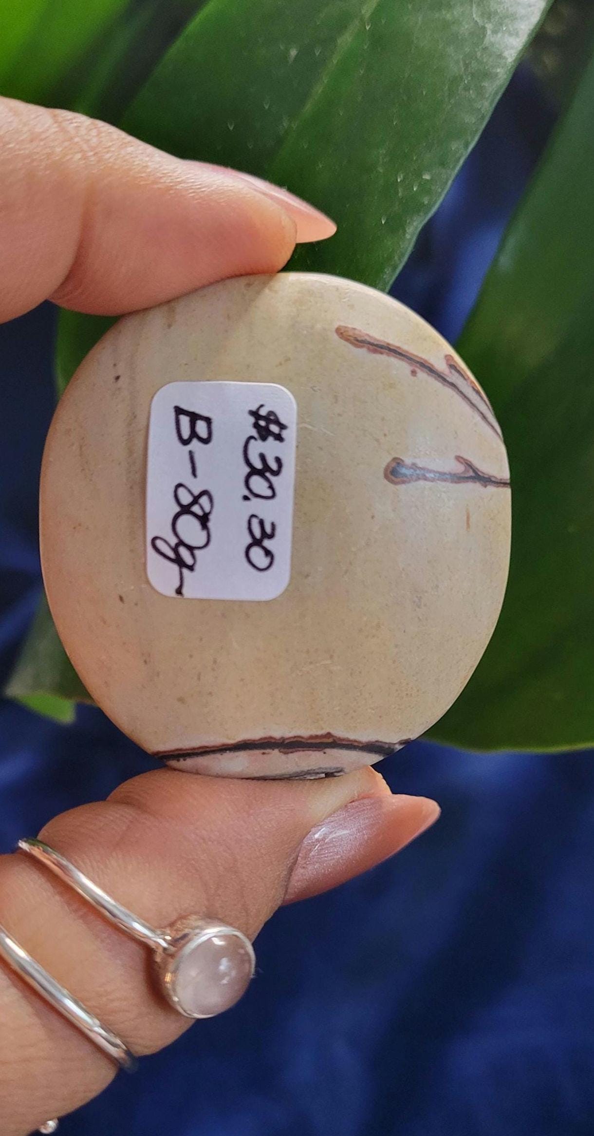 Picture Jasper Palm stone | Natural Landscapes of Art |Meditation Tool |Crystal Collector | Home Decor | Birthday Christmas Love Gift Ideas
