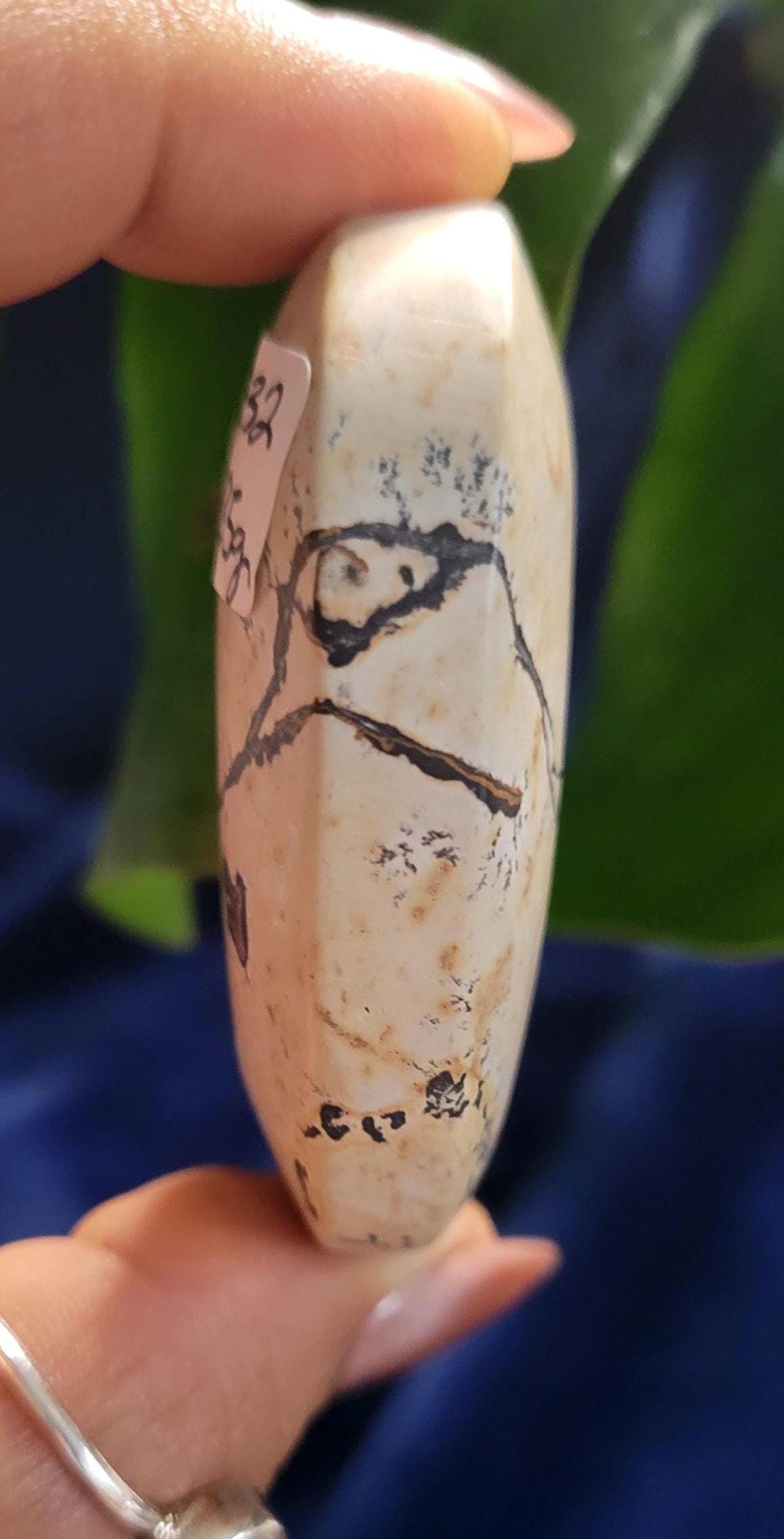 Picture Jasper Palm stone | Natural Landscapes of Art |Meditation Tool |Crystal Collector | Home Decor | Birthday Christmas Love Gift Ideas