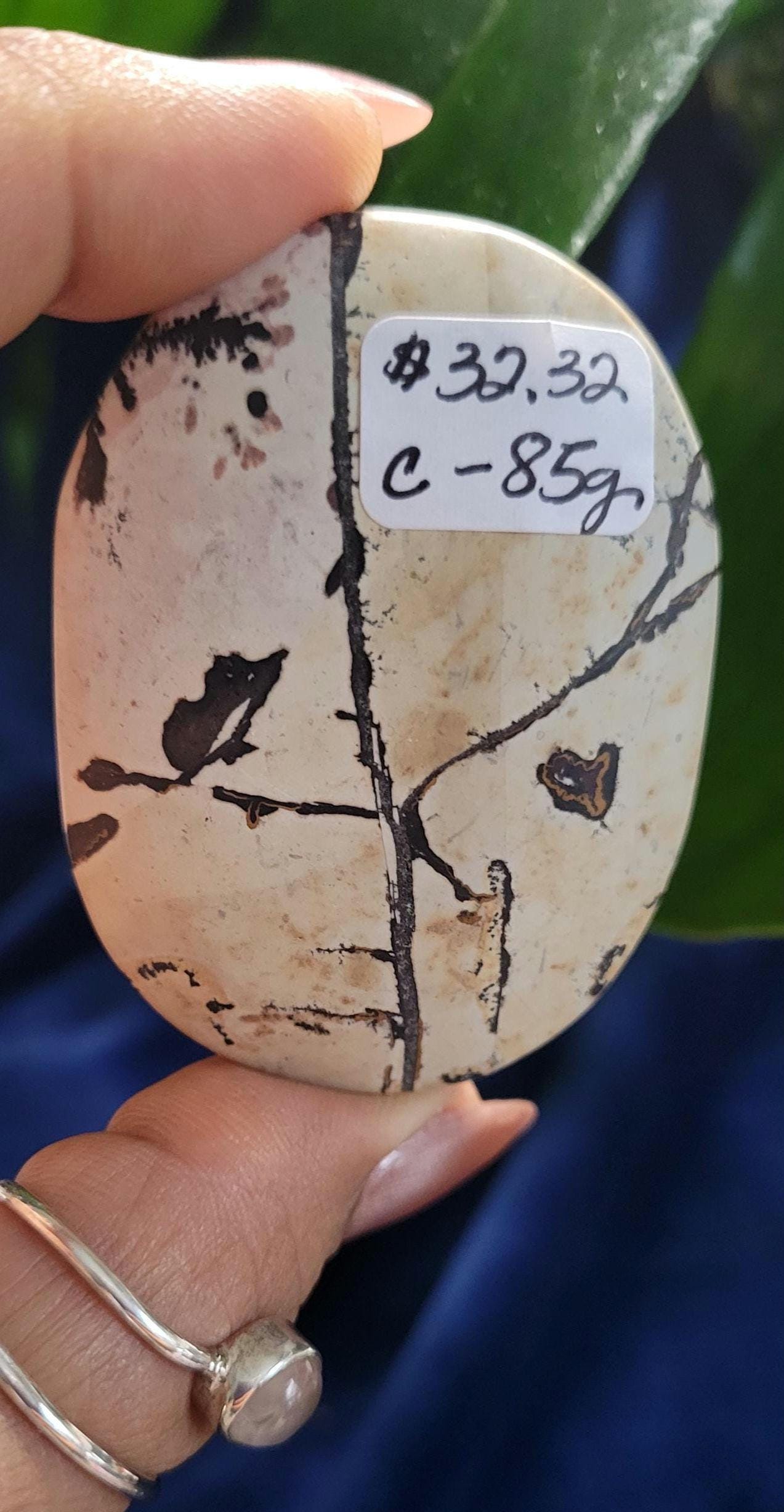 Picture Jasper Palm stone | Natural Landscapes of Art |Meditation Tool |Crystal Collector | Home Decor | Birthday Christmas Love Gift Ideas