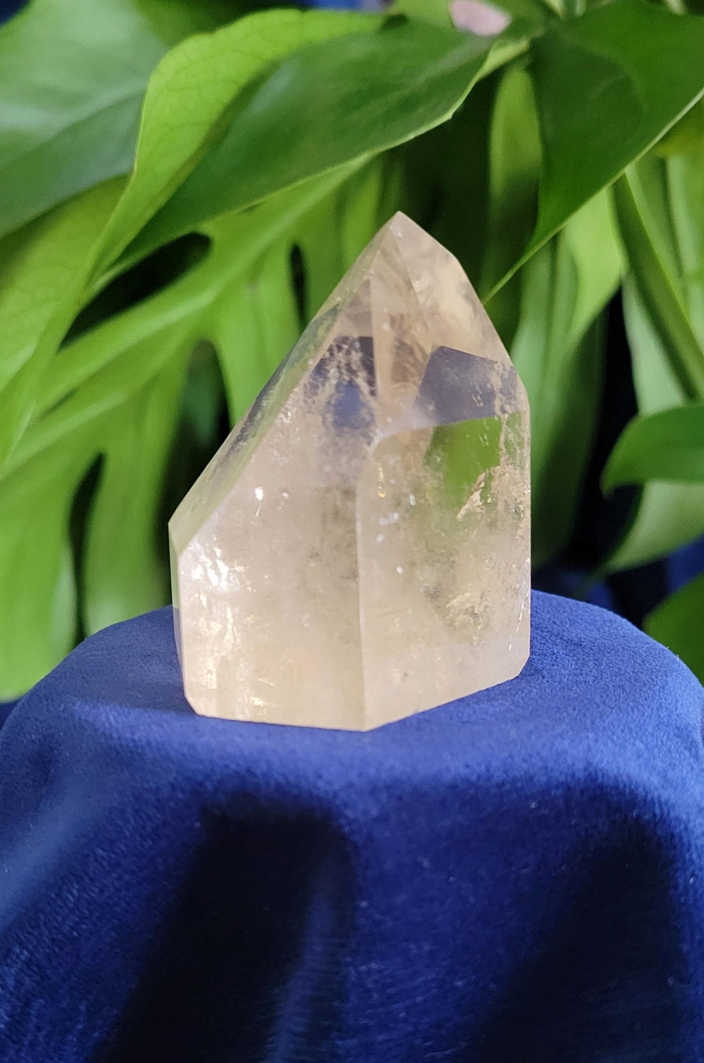 AAA Grade Natural Citrine Point with Rainbows from Brazil | Beautiful Polish | Birthday Christmas Gift Ideas | Champagne Gold | Prosperity