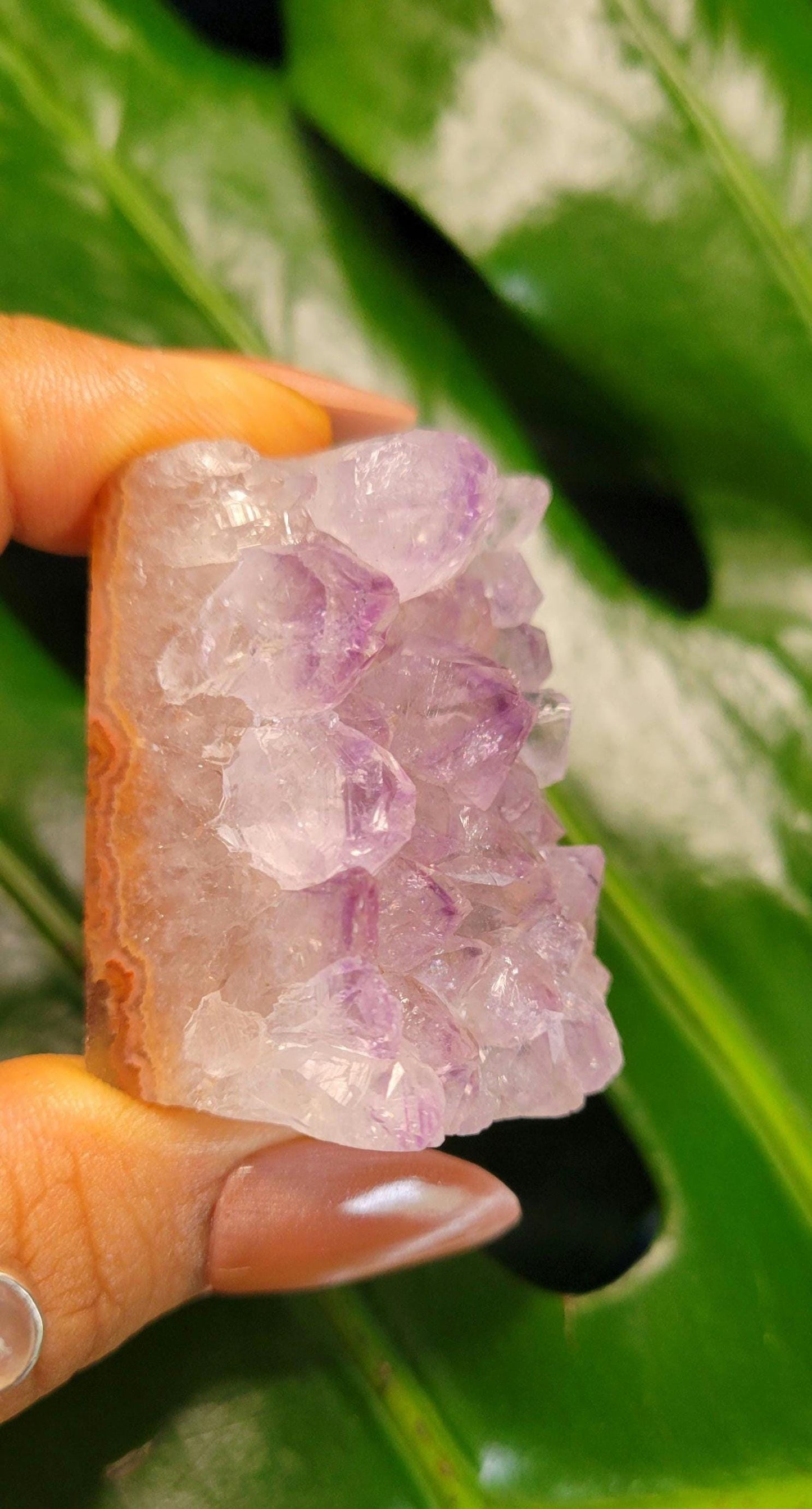 High Quality Amethyst Squares half polished from Brazil | Home Decor |Crystal Collector | Gift Ideas | Your Pick
