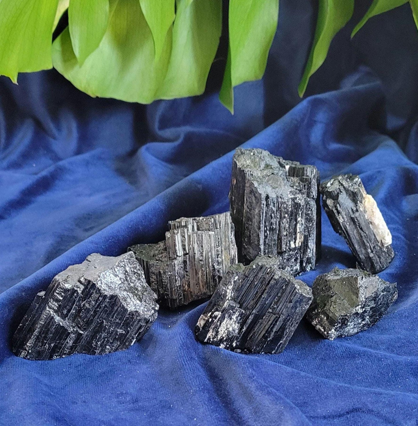 Shiny Natural Black Tourmaline with Quartz and Gold Mica | Birthday Anniversary Christmas Gift Ideas | Crystal Collector | Home Decor