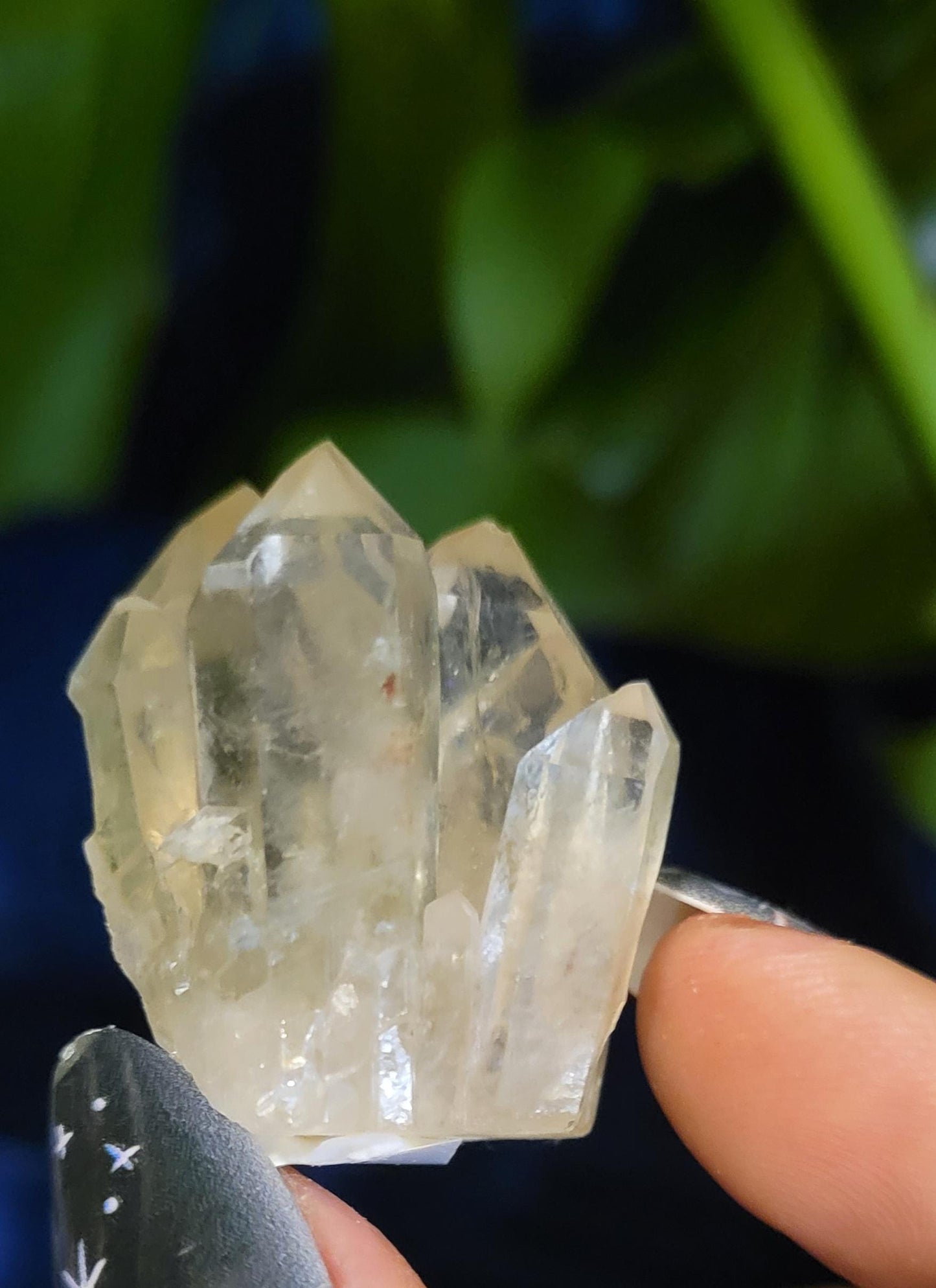 Natural Kundalini Citrine Clusters from the Democratic Republic of Congo | Your Pick | Birthday Christmas Gift Ideas | Gold | Prosperity
