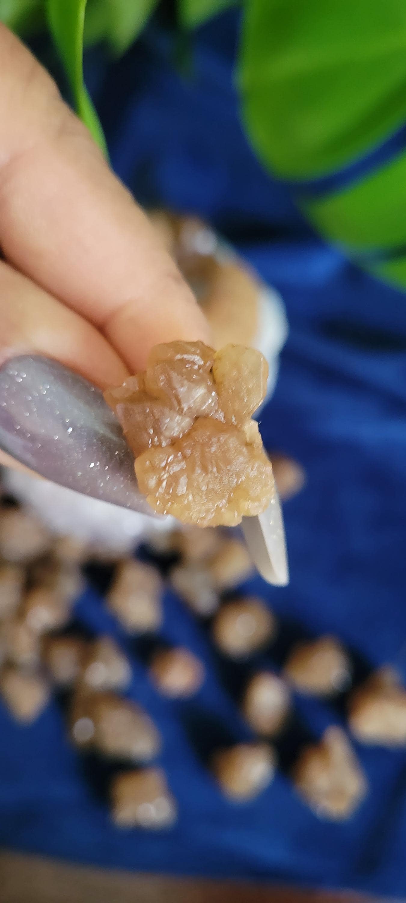 Natural Raw Citrine Nuggets from Morocco | Honey Amber Gold | Gift Ideas | Crystal Jewelry Wrapping | Gridding | Abundance and Creativity
