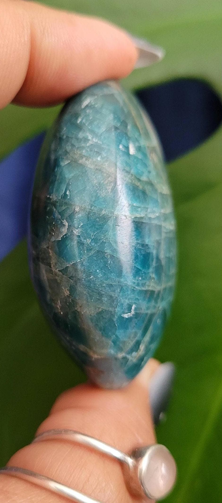 Apatite Palm Stones, Large | Your Pick | Meditation | Birthday Christmas Gift Ideas for you | Electric Blue | Third Eye Chakra
