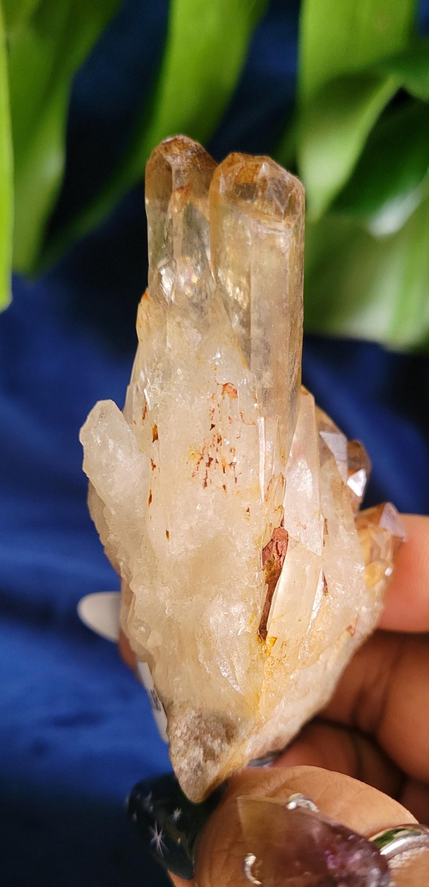 Natural Kundalini Citrine | Self-Standing Cluster from the Democratic Republic of Congo | Birthday Christmas Gift Ideas | Gold | Prosperity