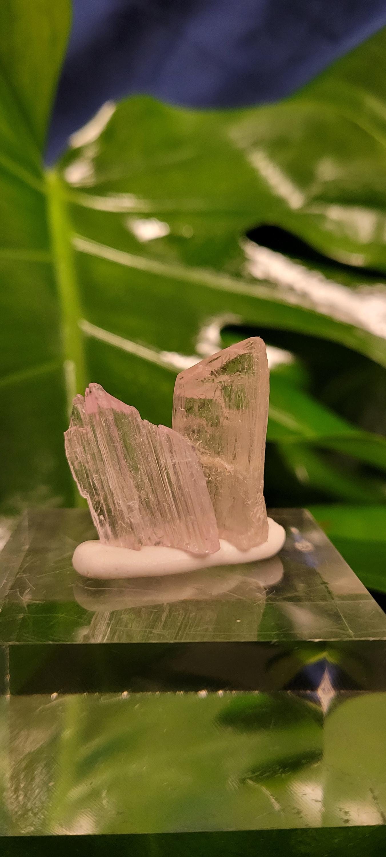 Etched & Translucent Gemmy Pink Kunzite | AAA Grade Crystal Specimen for Collectors | Heart Chakra | Love Gift Idea | Gorgeously Pink | 11g