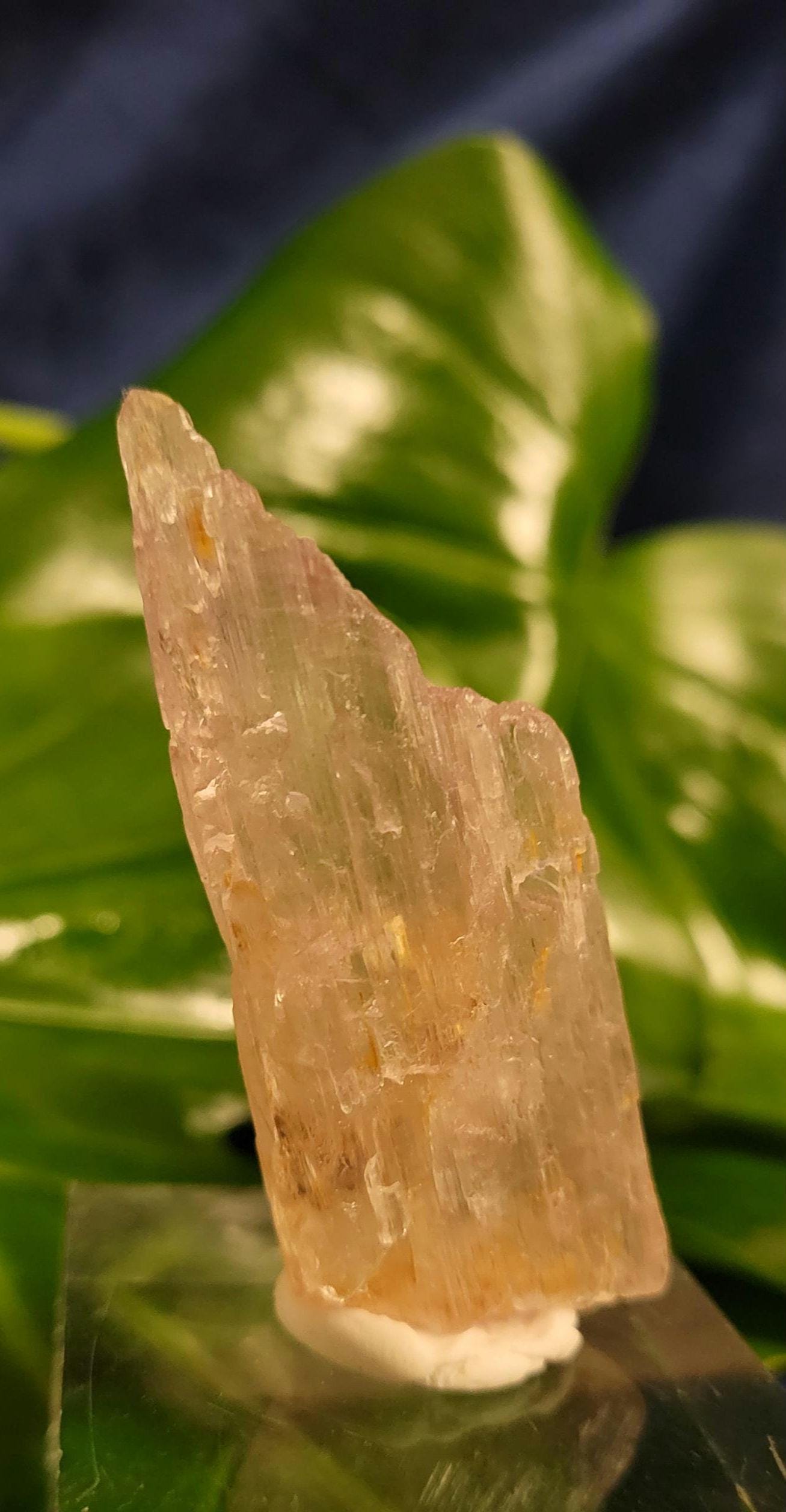 Etched & Translucent Gemmy Pink Kunzite | AAA Grade Crystal Specimen for Collectors | Heart Chakra | Love Gift Idea | Gorgeously Pink | 43g
