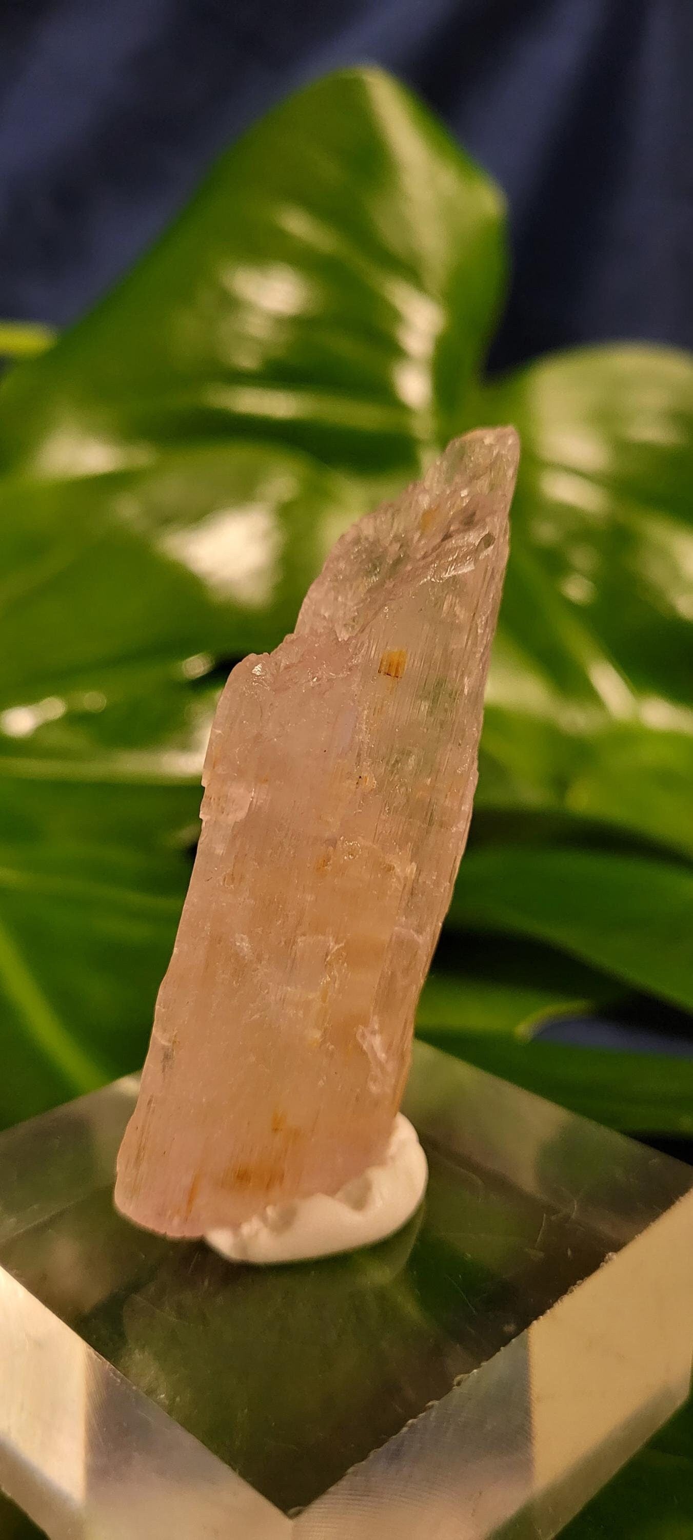 Etched & Translucent Gemmy Pink Kunzite | AAA Grade Crystal Specimen for Collectors | Heart Chakra | Love Gift Idea | Gorgeously Pink | 43g