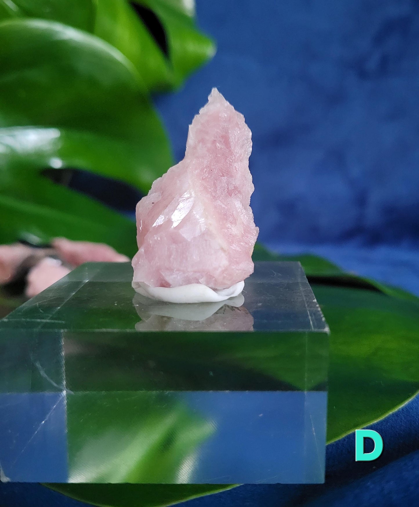 Rhodochrosite Specimens | Manifest Joy and Self-Love | Gifts for Crystal and Mineral Collectors | Hearth Chakra | Pastel Pink Love Gems